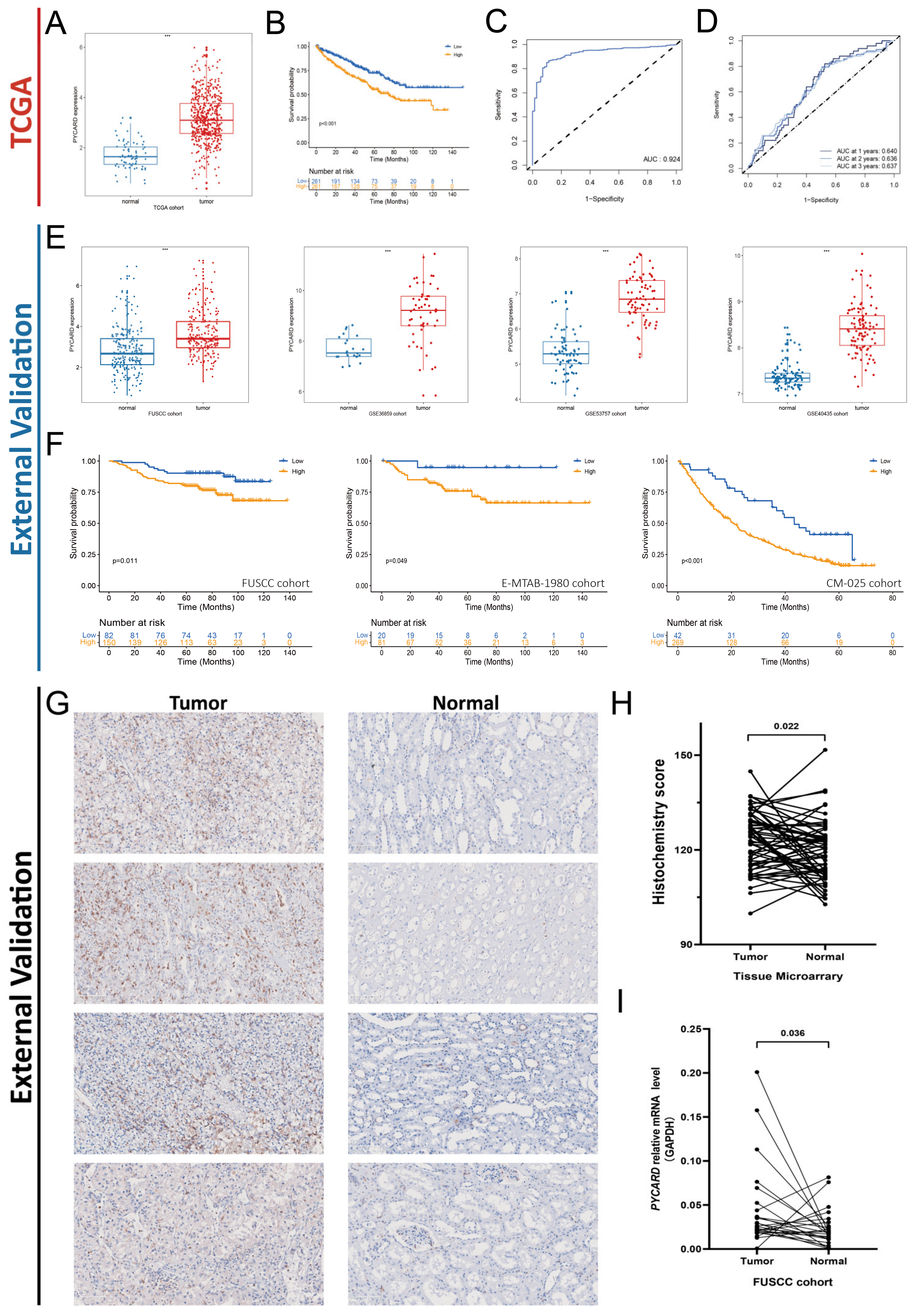 Cancers 14 04992 g004