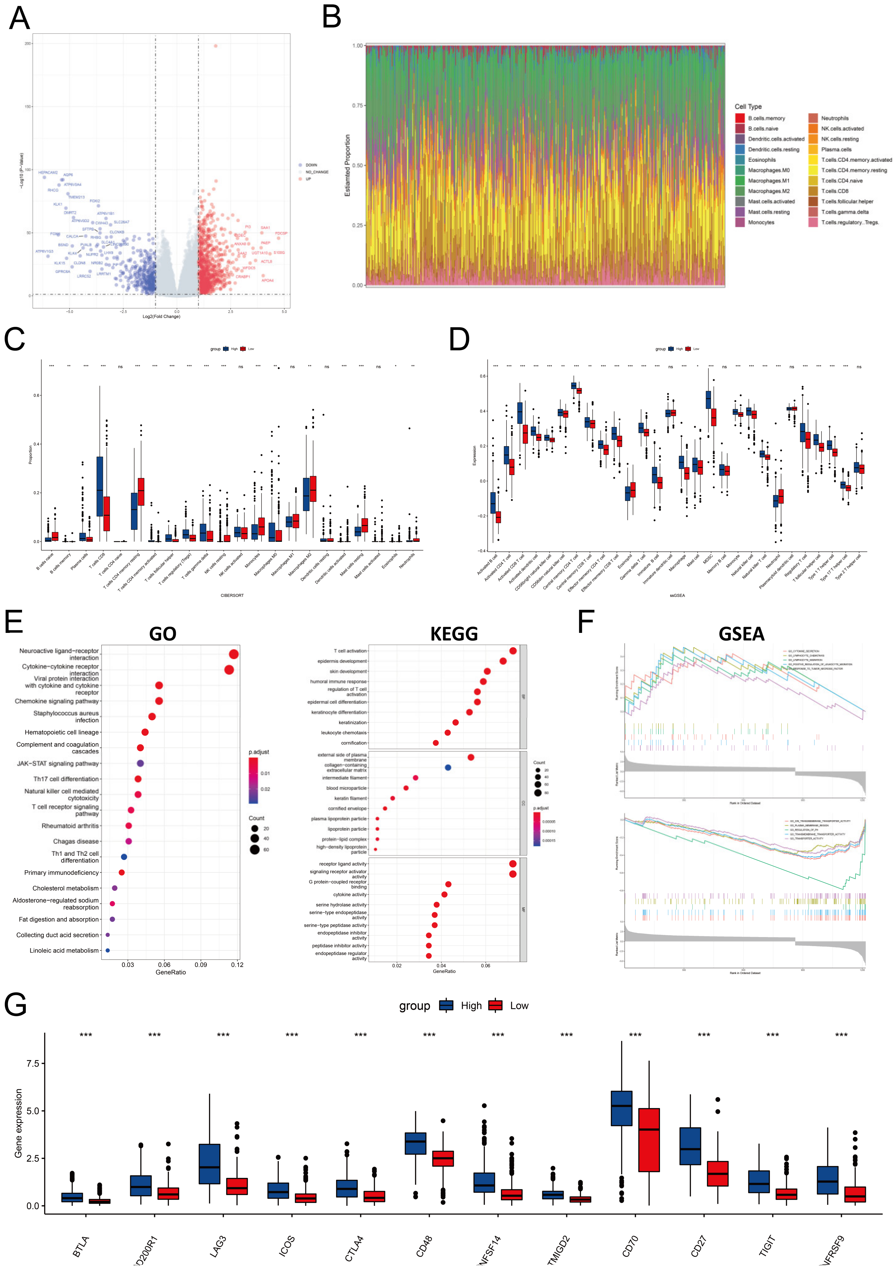 Cancers 14 04992 g008