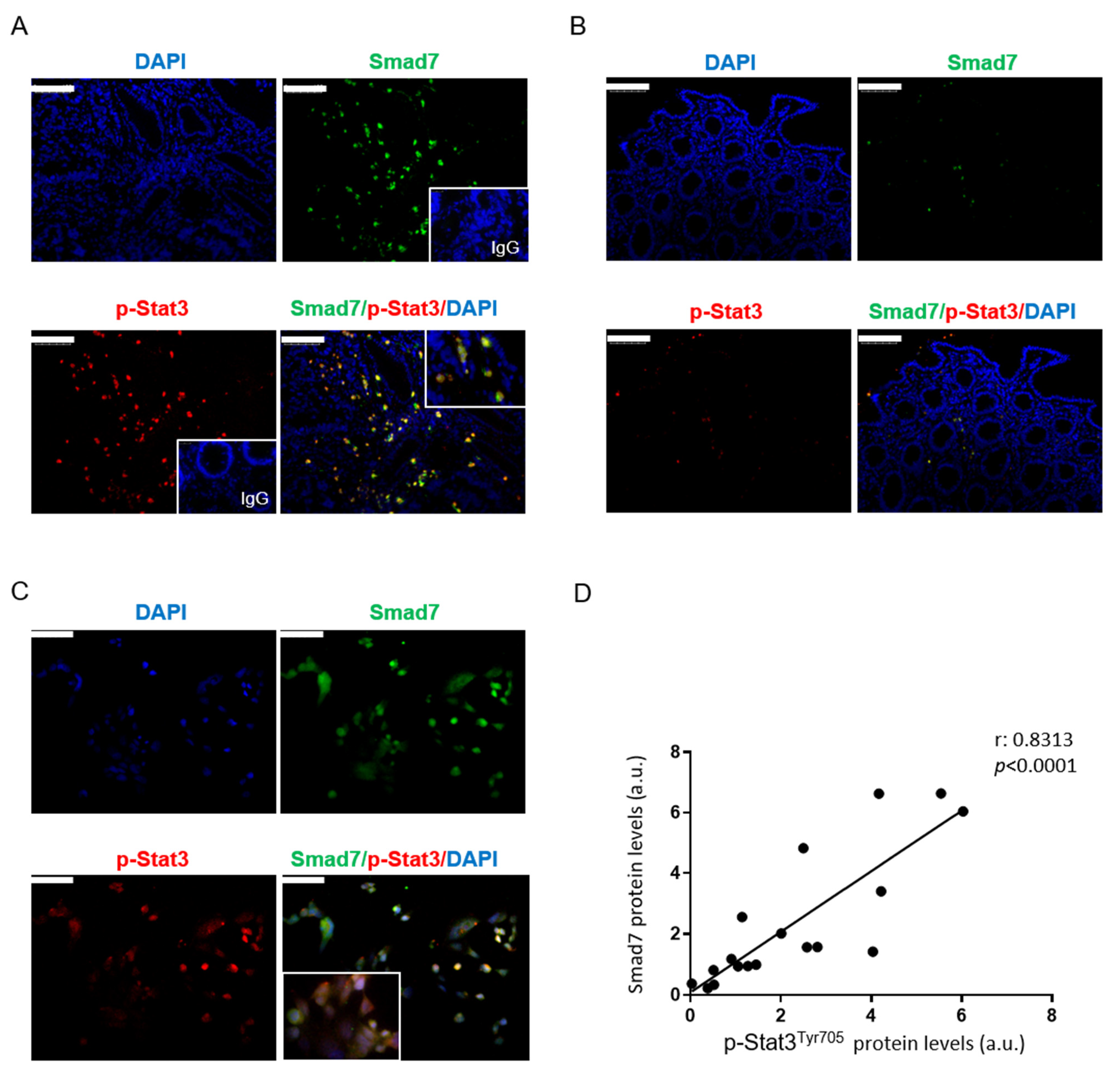 Cancers 14 04993 g001