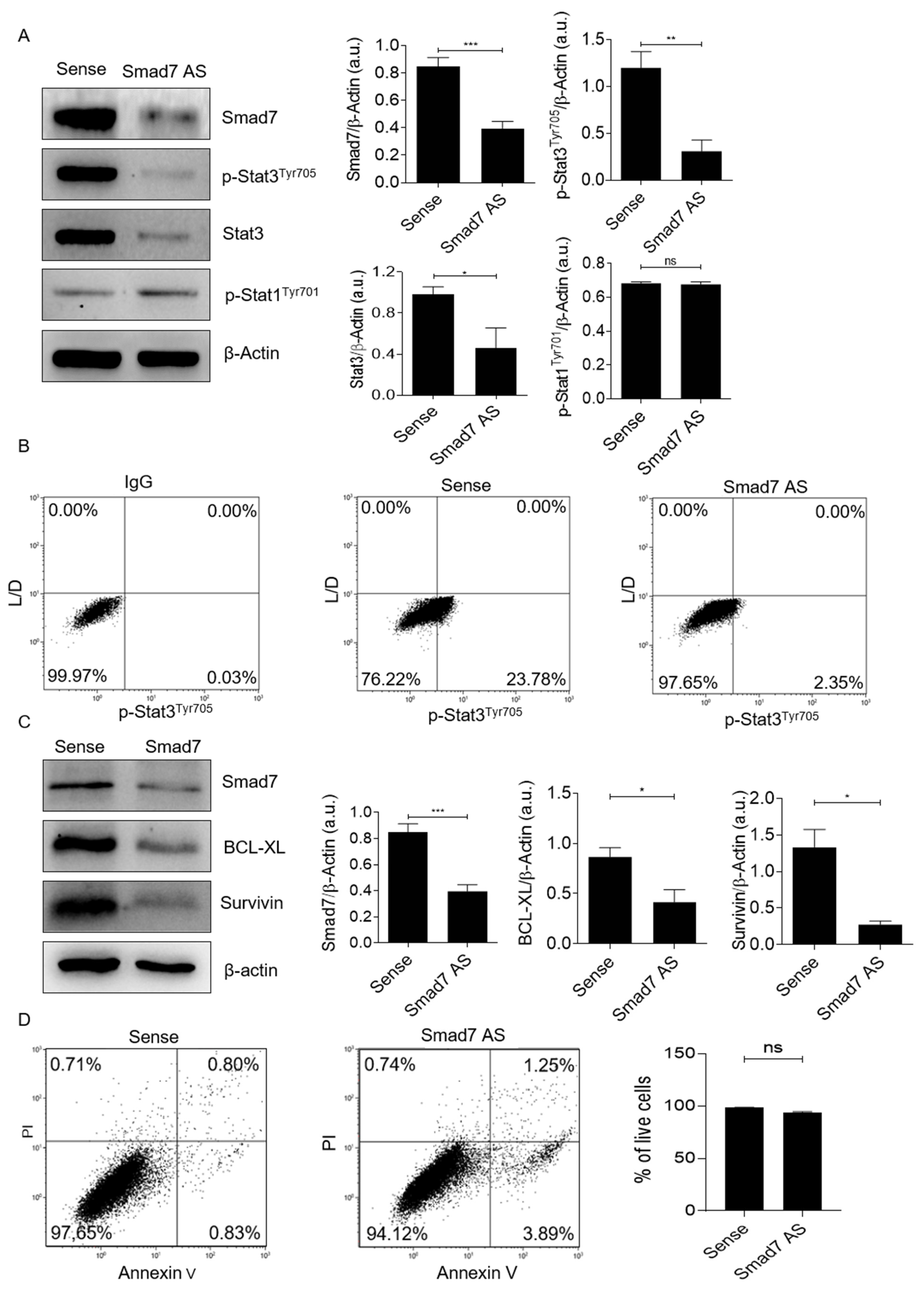 Cancers 14 04993 g002