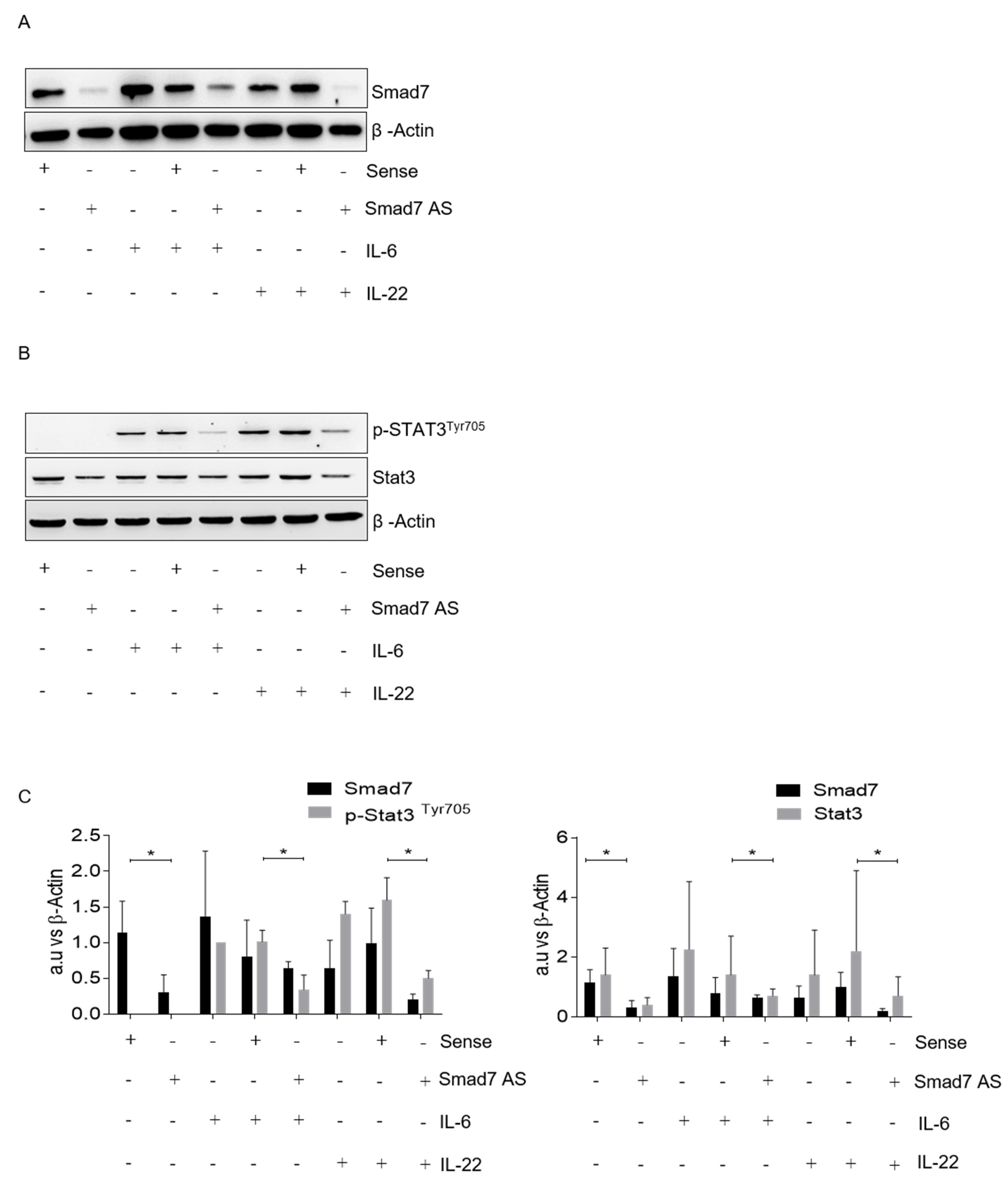 Cancers 14 04993 g003