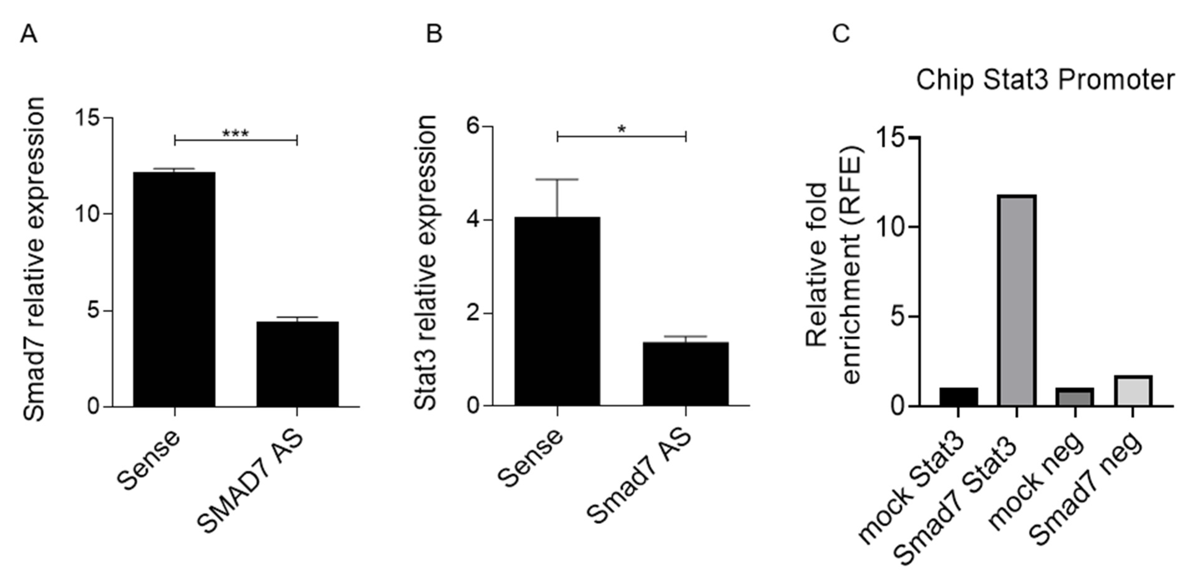 Cancers 14 04993 g004