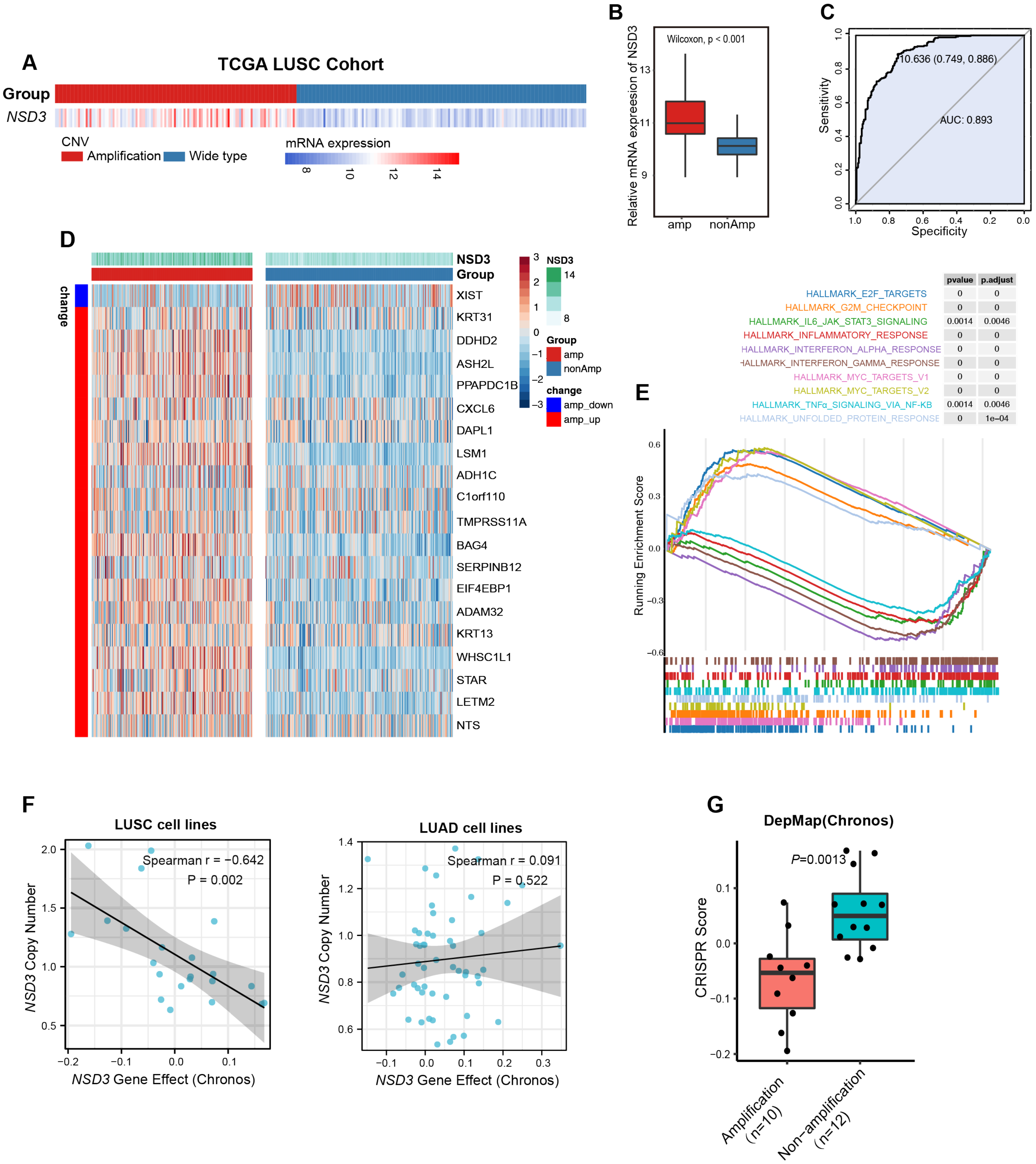 Cancers 14 04997 g001 Cancers 14 04997 g001