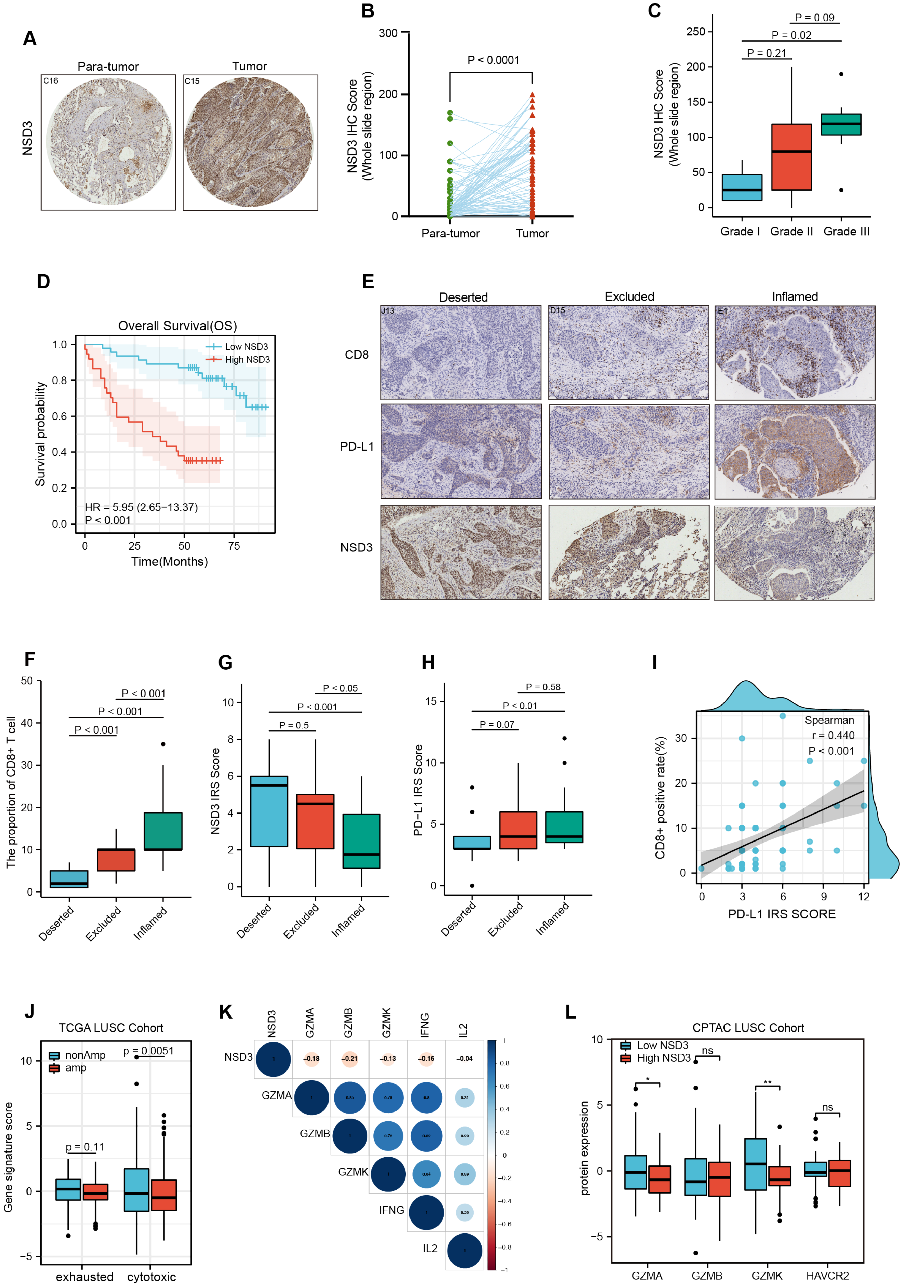 Cancers 14 04997 g004 Cancers 14 04997 g004