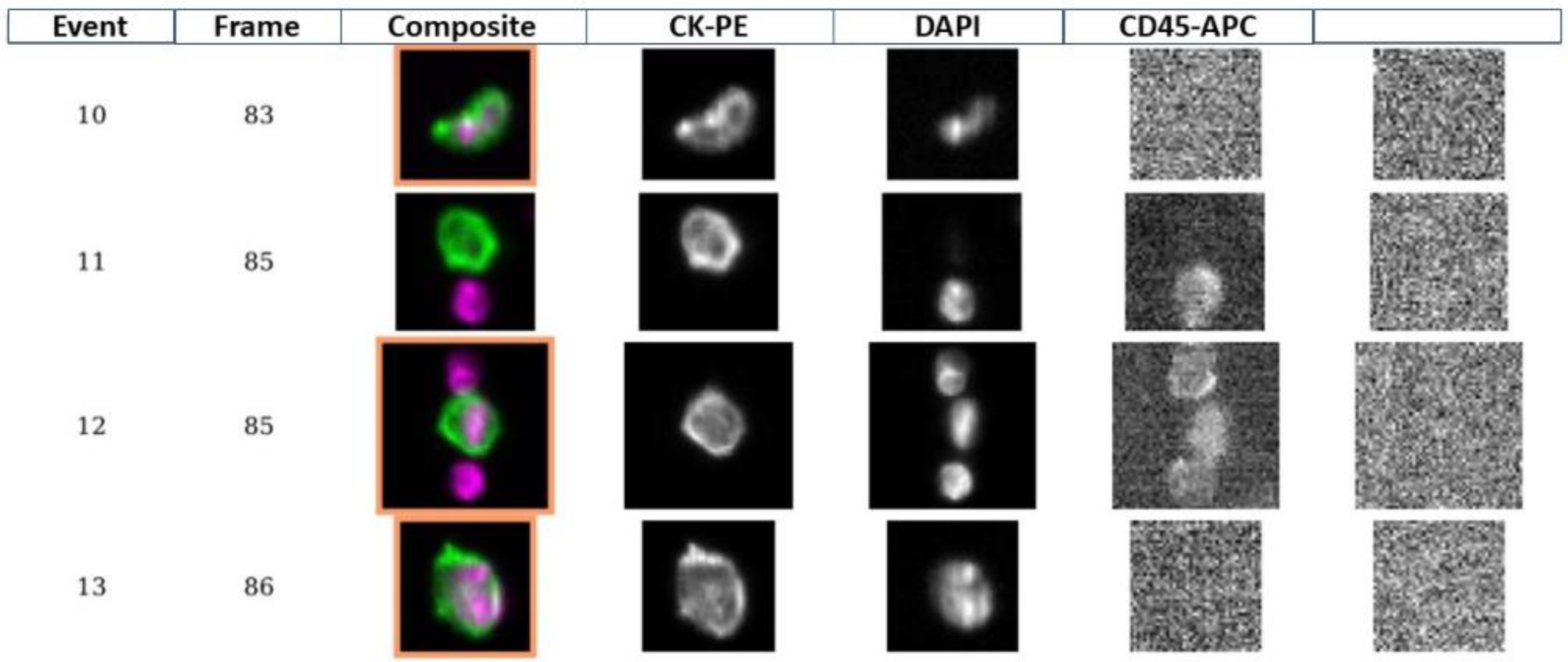 Cancers 14 05004 g001 Cancers 14 05004 g001