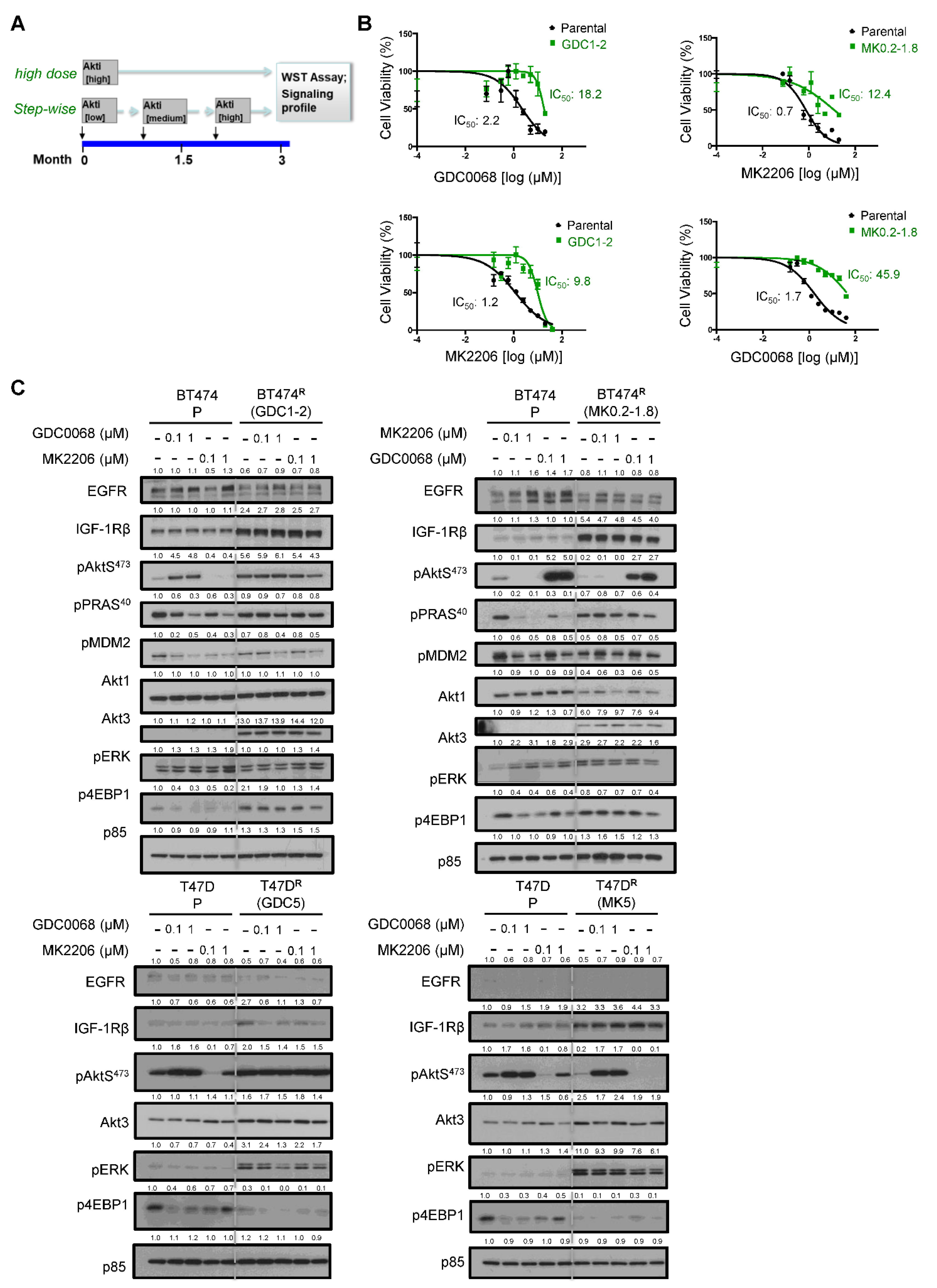 Cancers 14 05006 g001