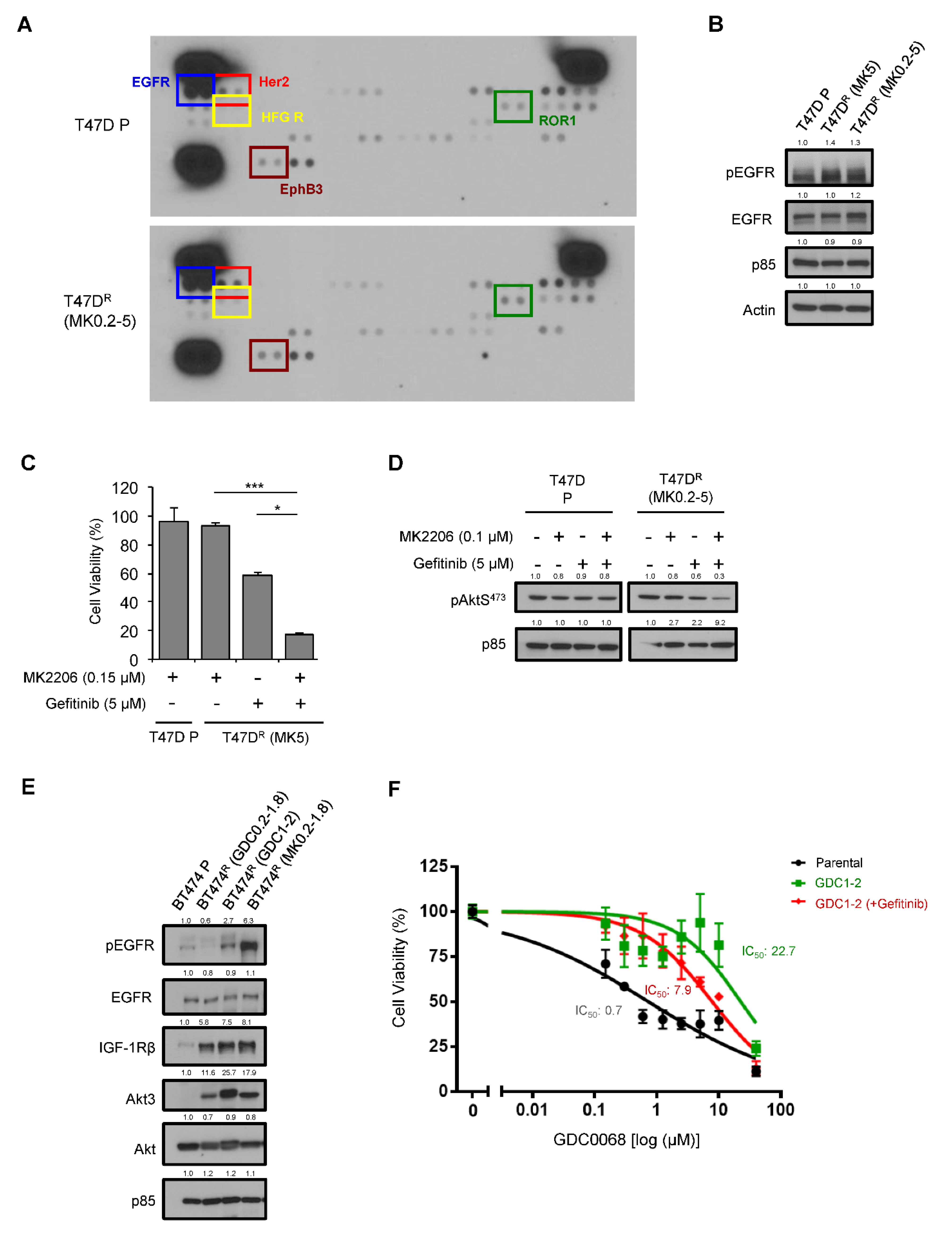 Cancers 14 05006 g002