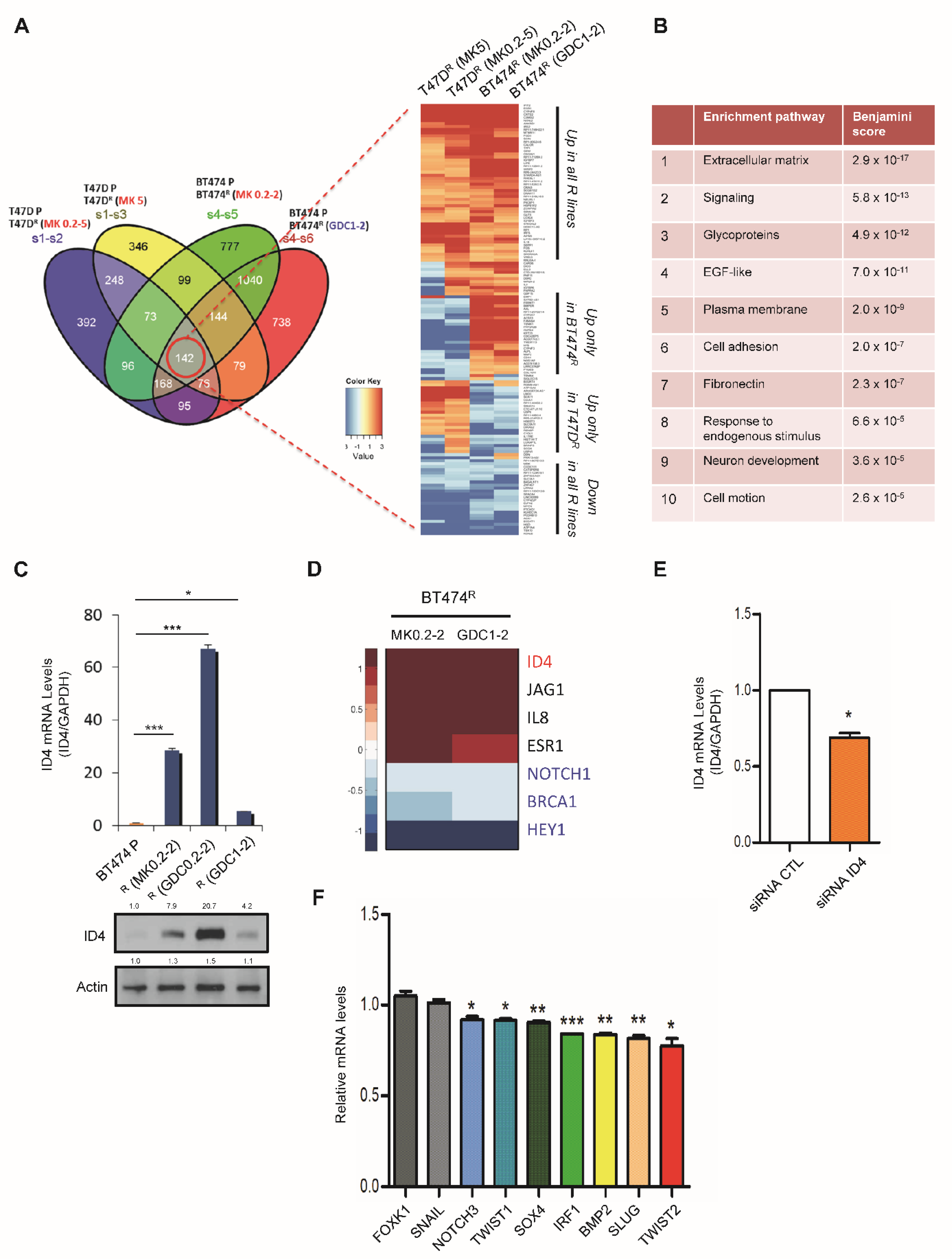 Cancers 14 05006 g004