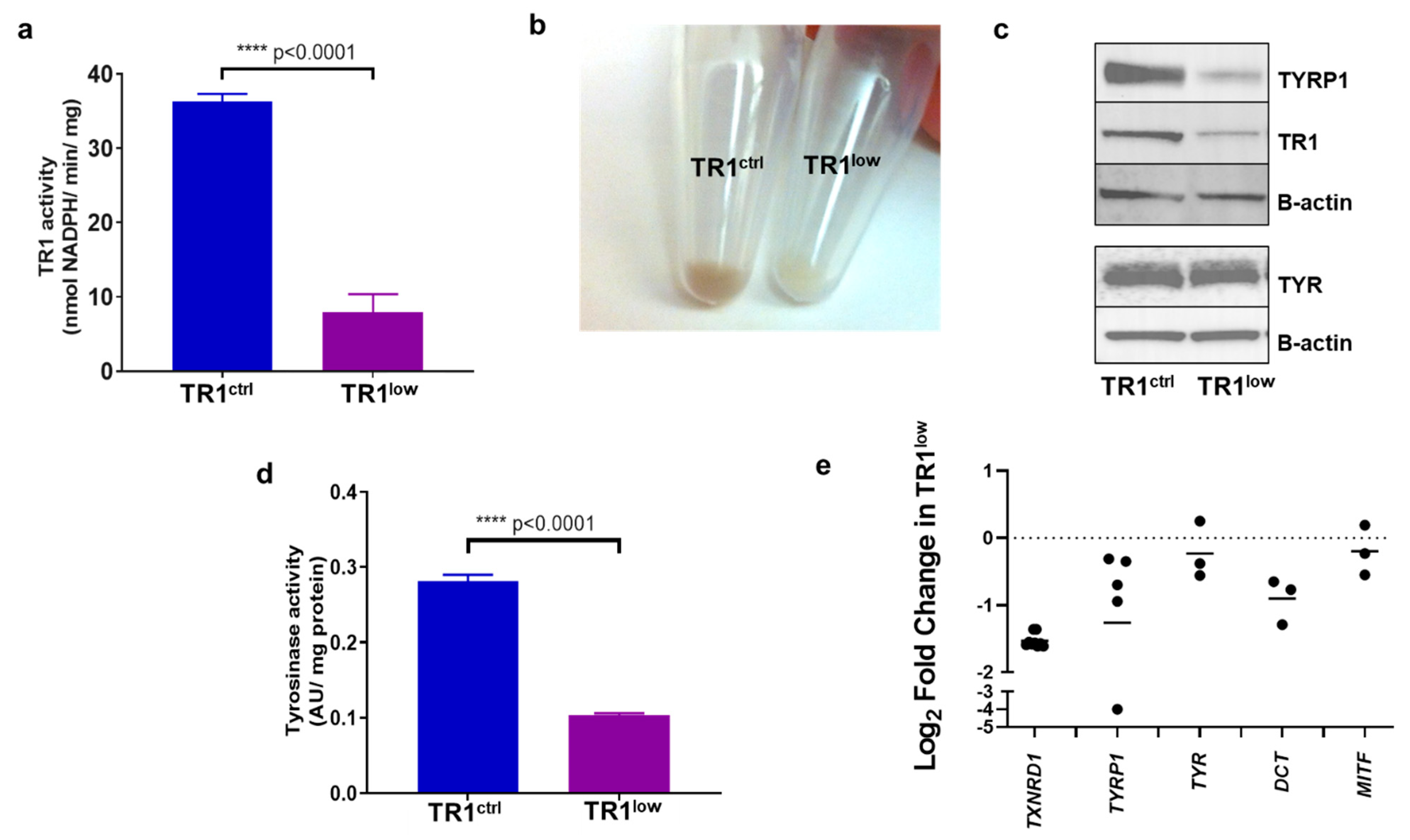Cancers 14 05011 g001