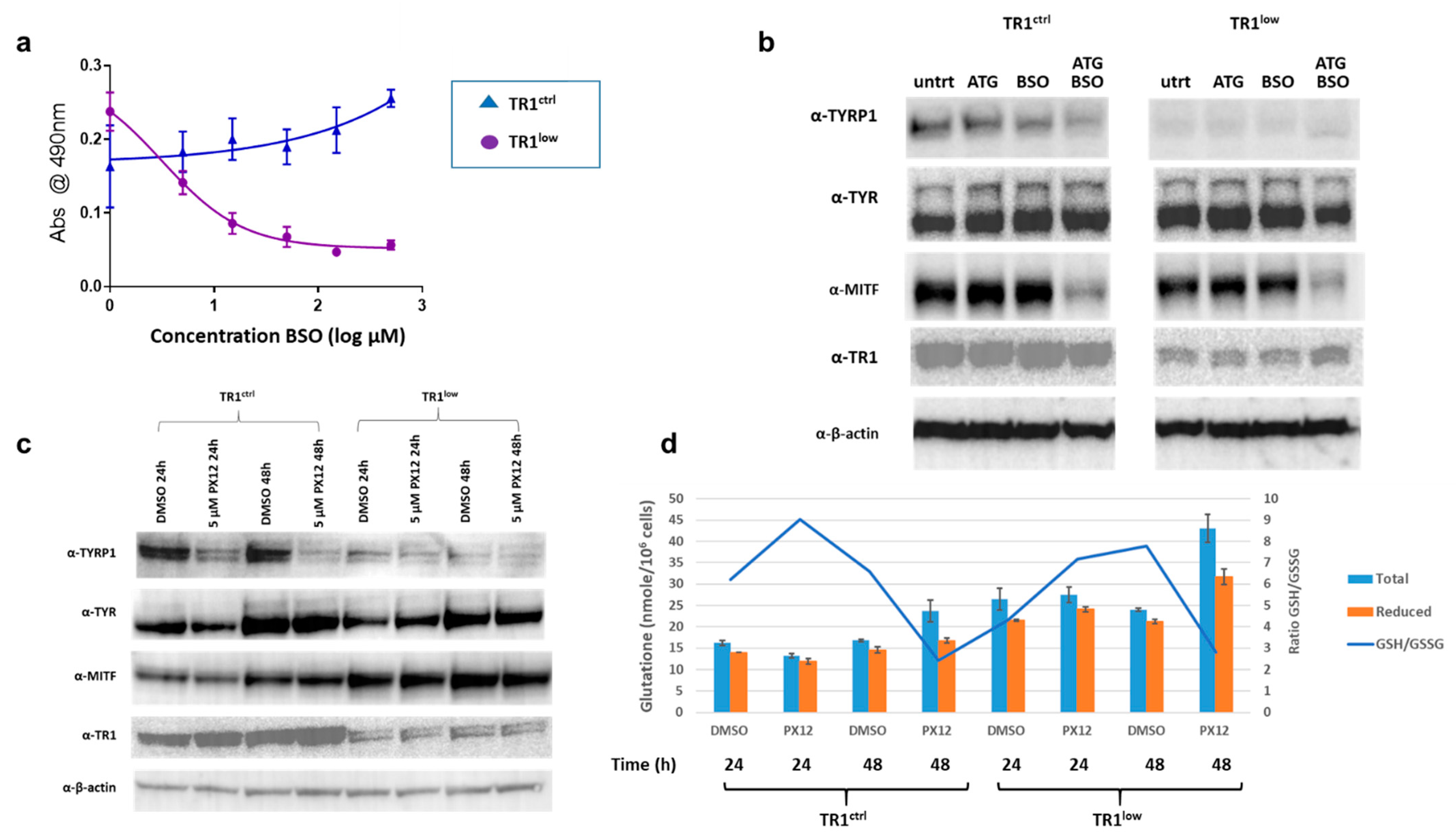 Cancers 14 05011 g003