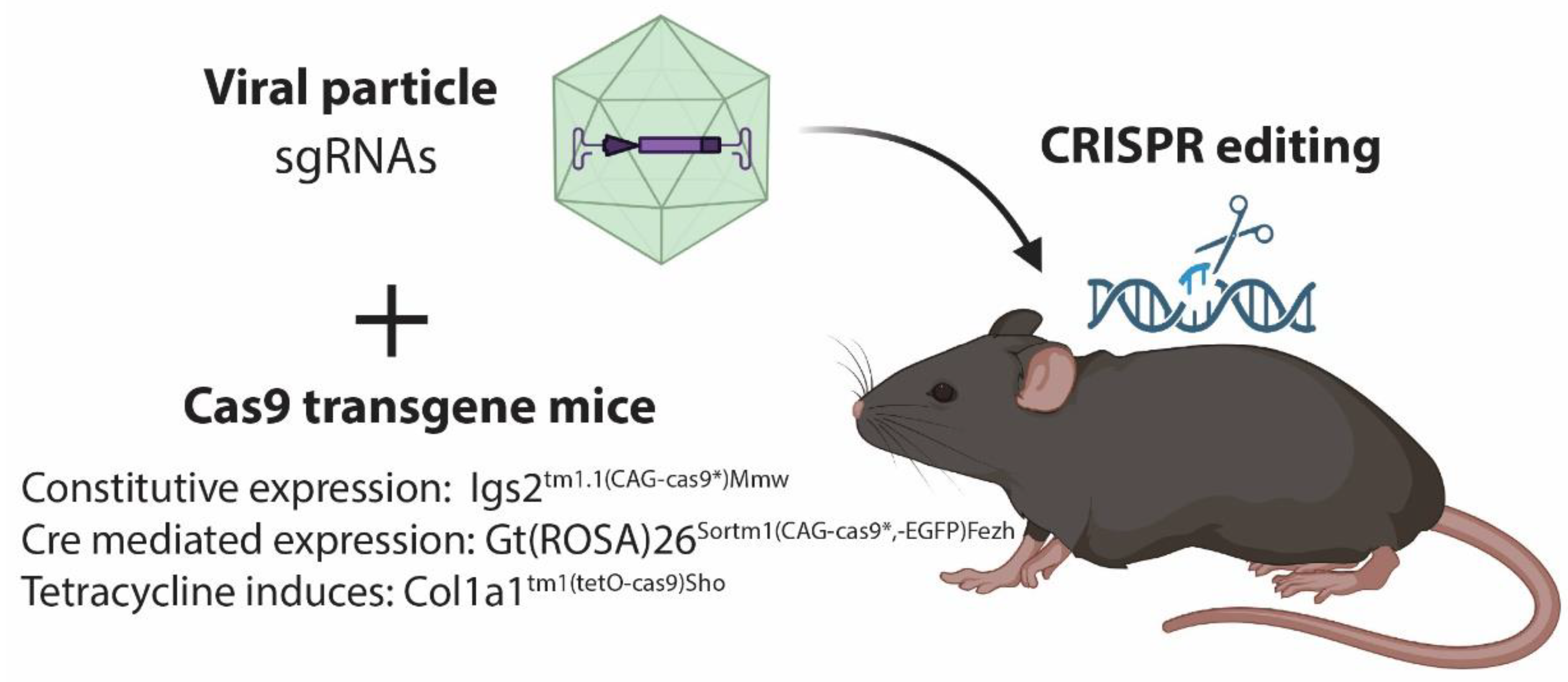 Cancers 14 05014 g002 Cancers 14 05014 g002