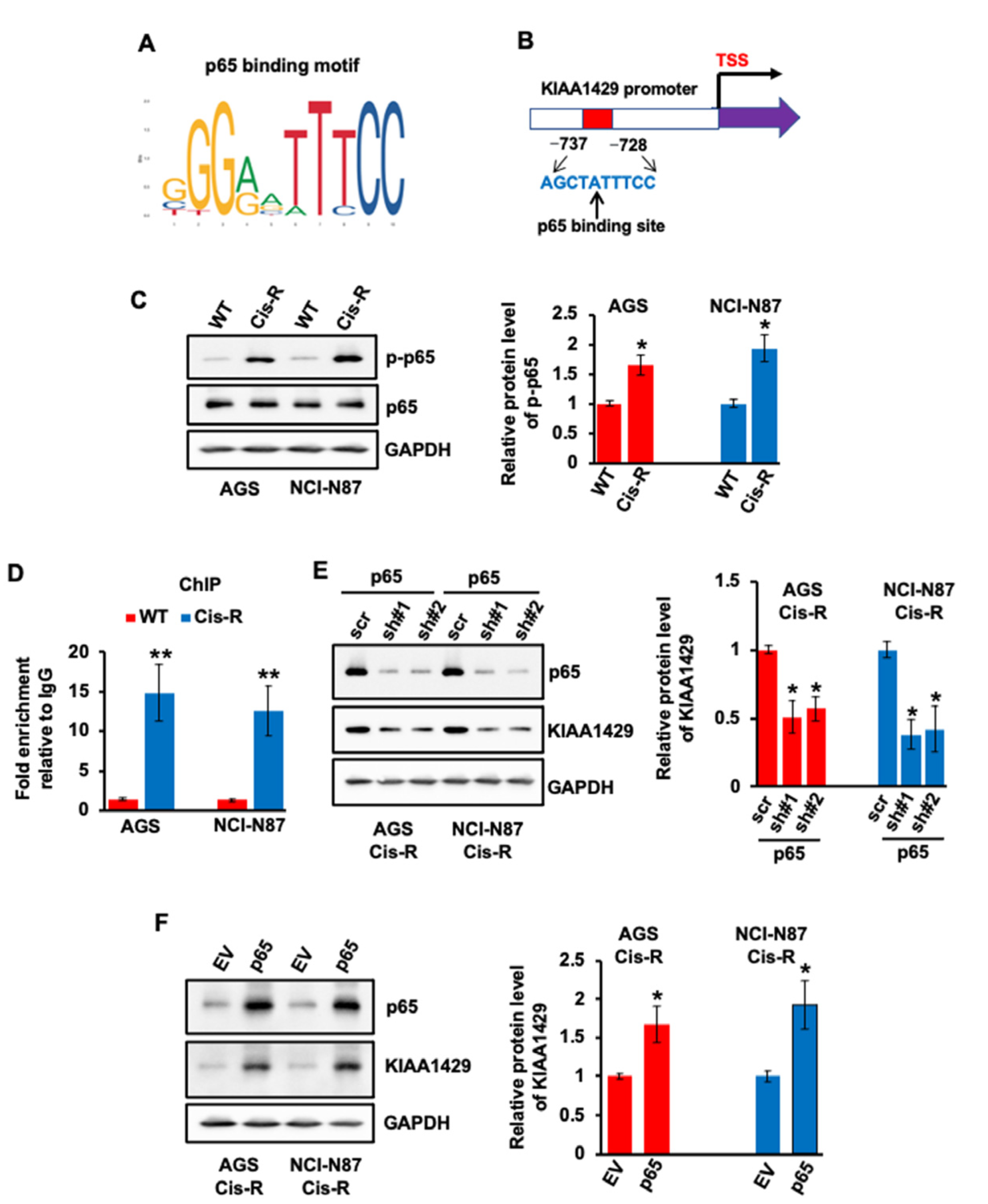 Cancers 14 05025 g003 Cancers 14 05025 g003