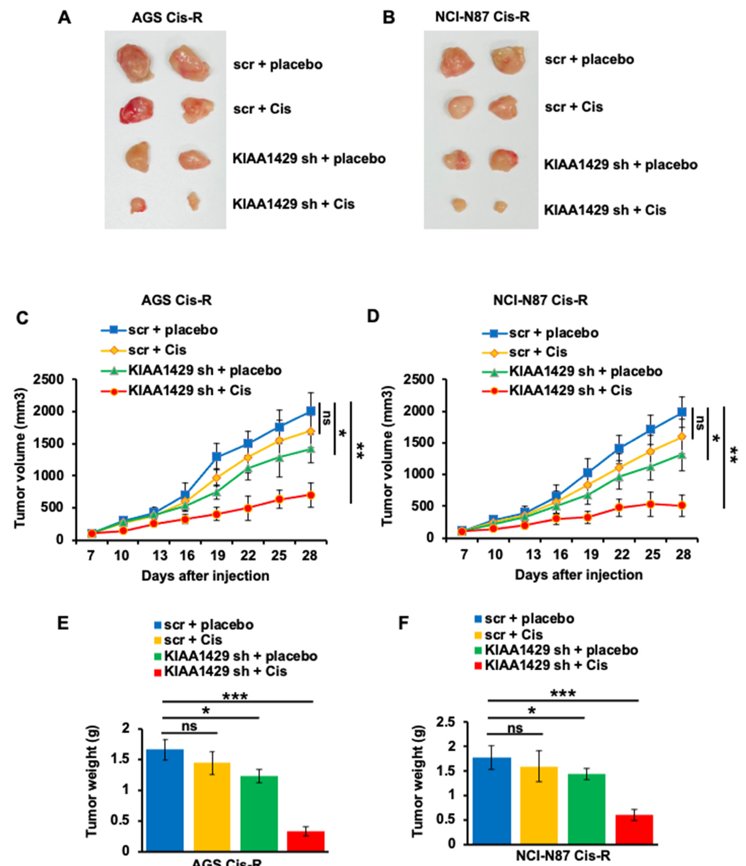 Cancers 14 05025 g006 Cancers 14 05025 g006