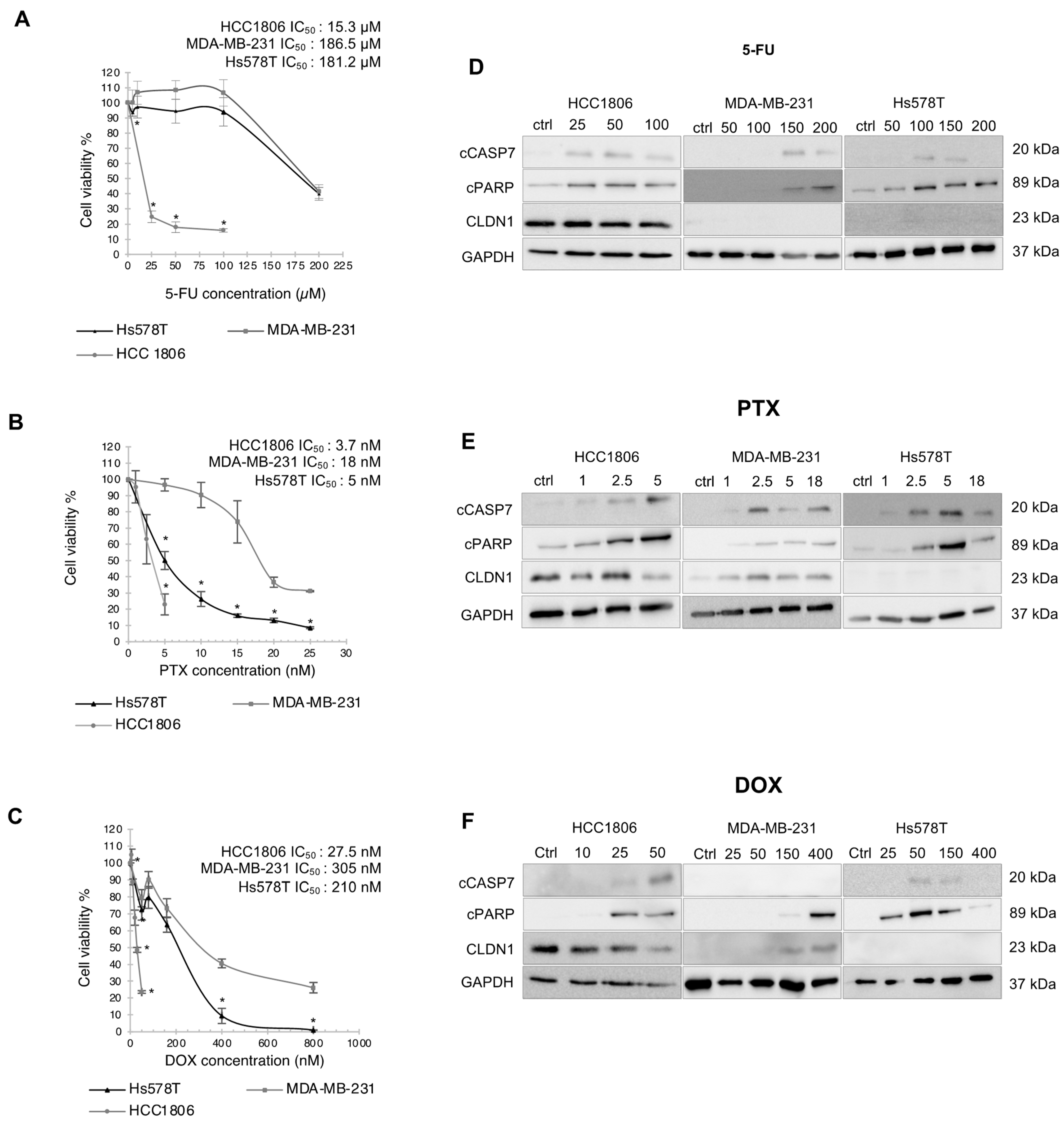 Cancers 14 05026 g002 Cancers 14 05026 g002