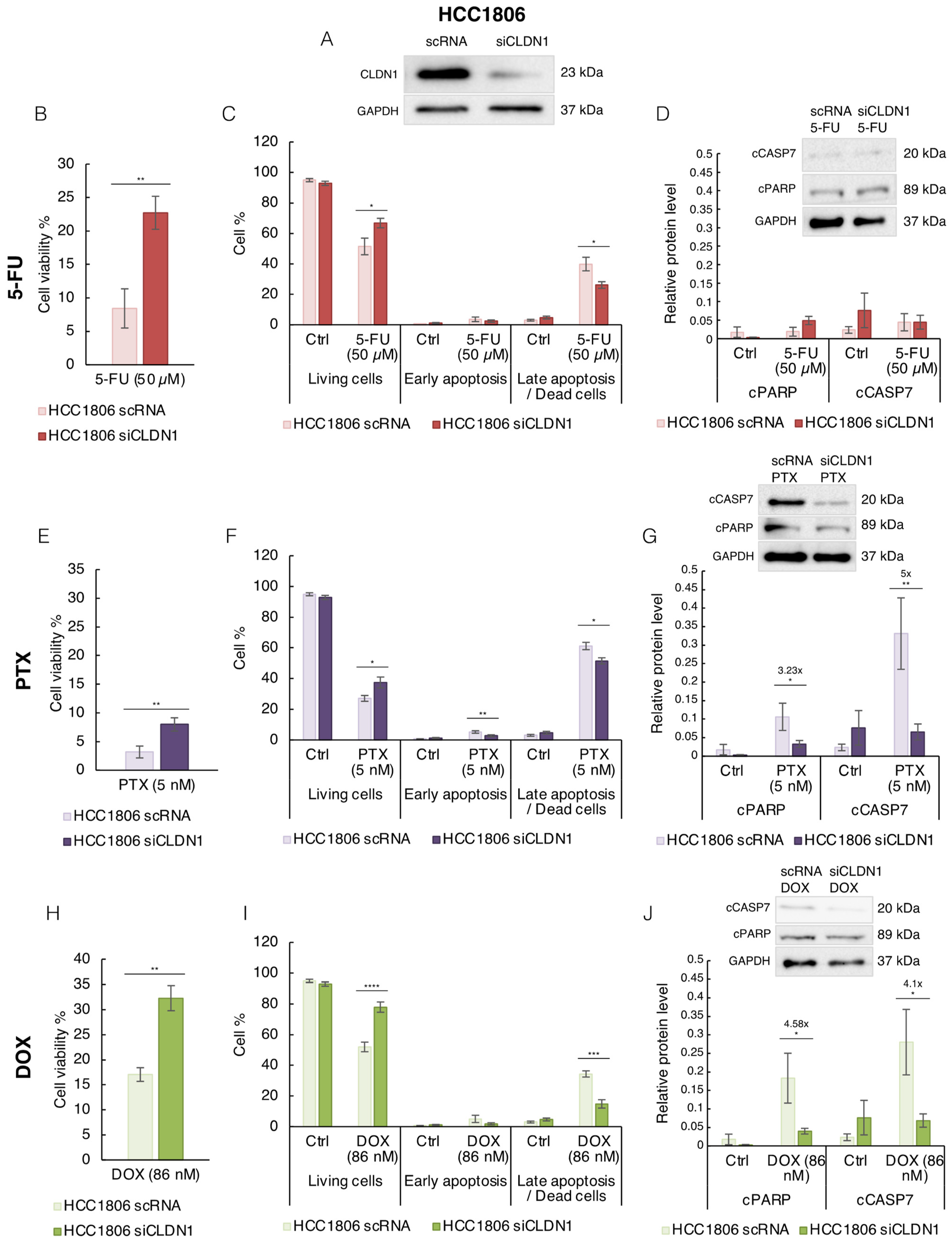 Cancers 14 05026 g004 Cancers 14 05026 g004