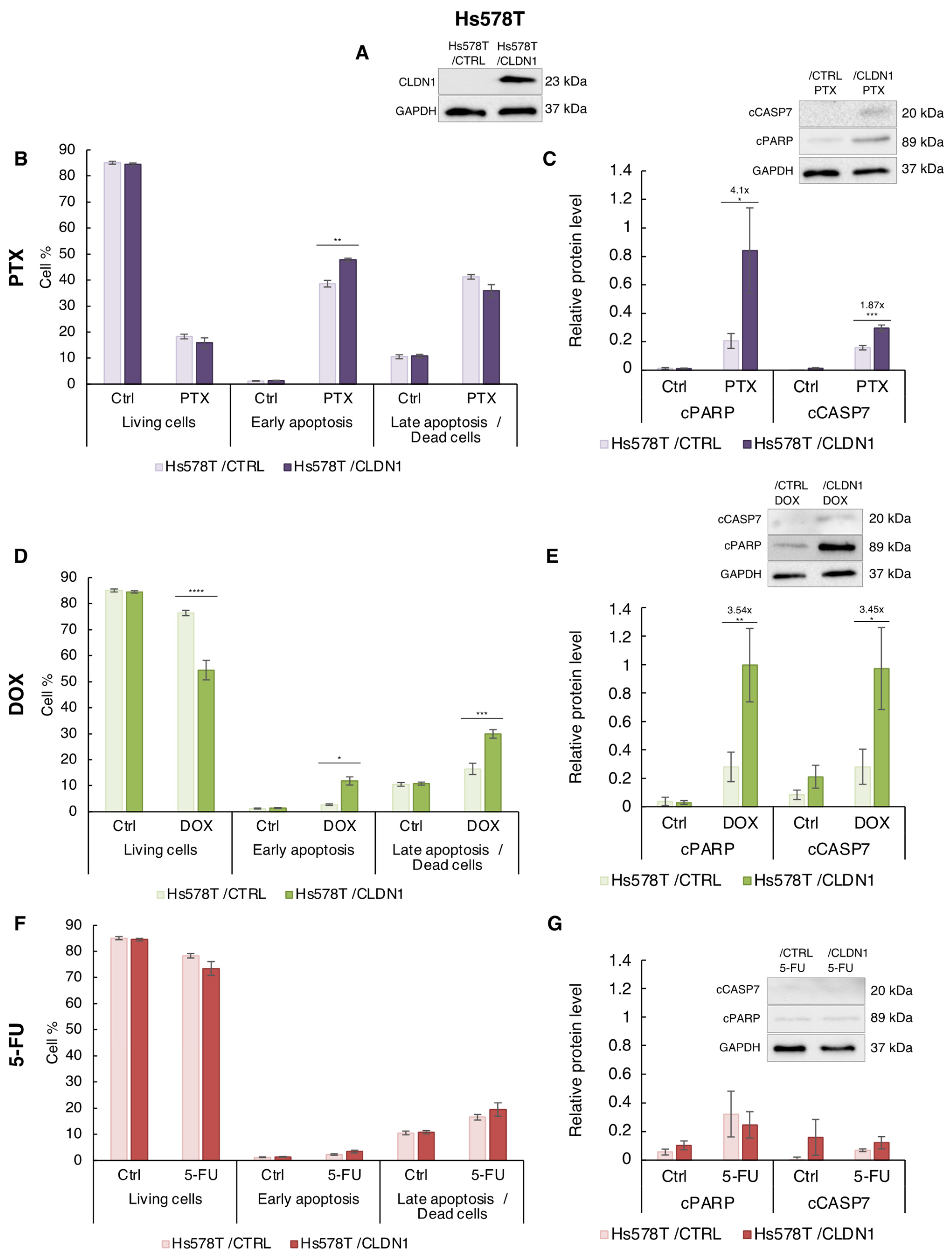 Cancers 14 05026 g006 Cancers 14 05026 g006