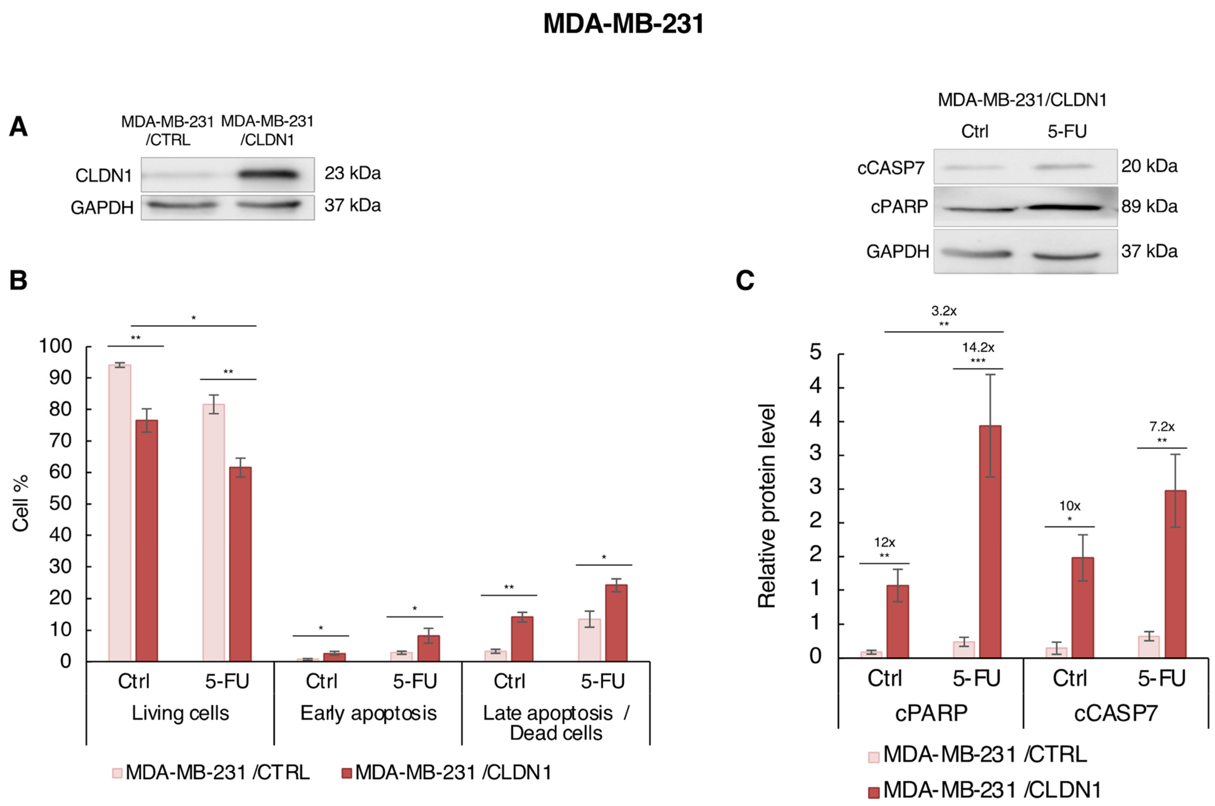 Cancers 14 05026 g007 Cancers 14 05026 g007