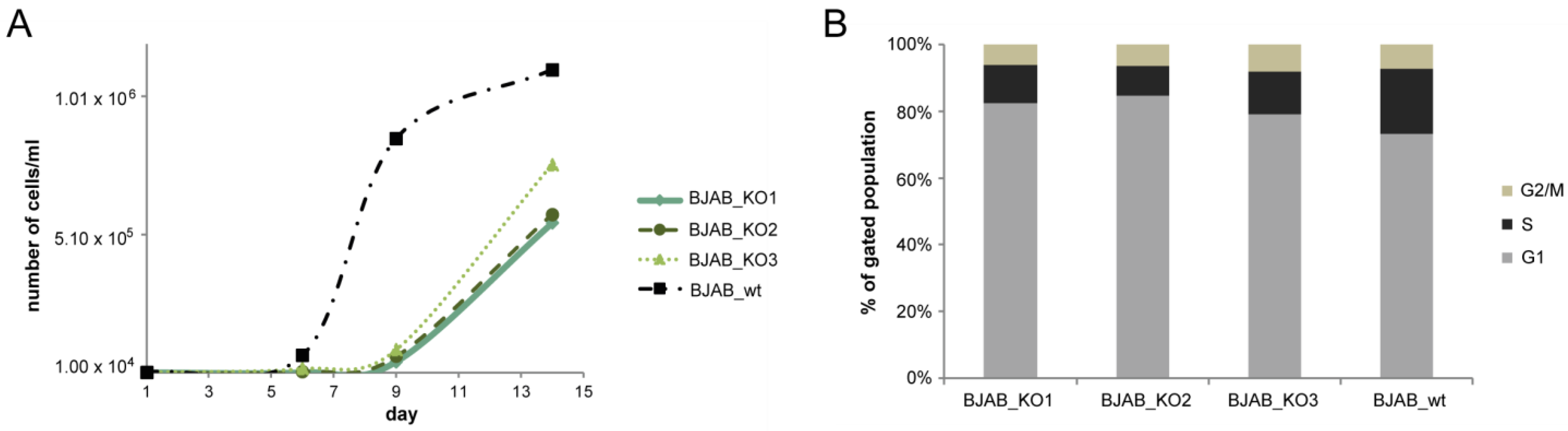 Cancers 14 05031 g002 Cancers 14 05031 g002