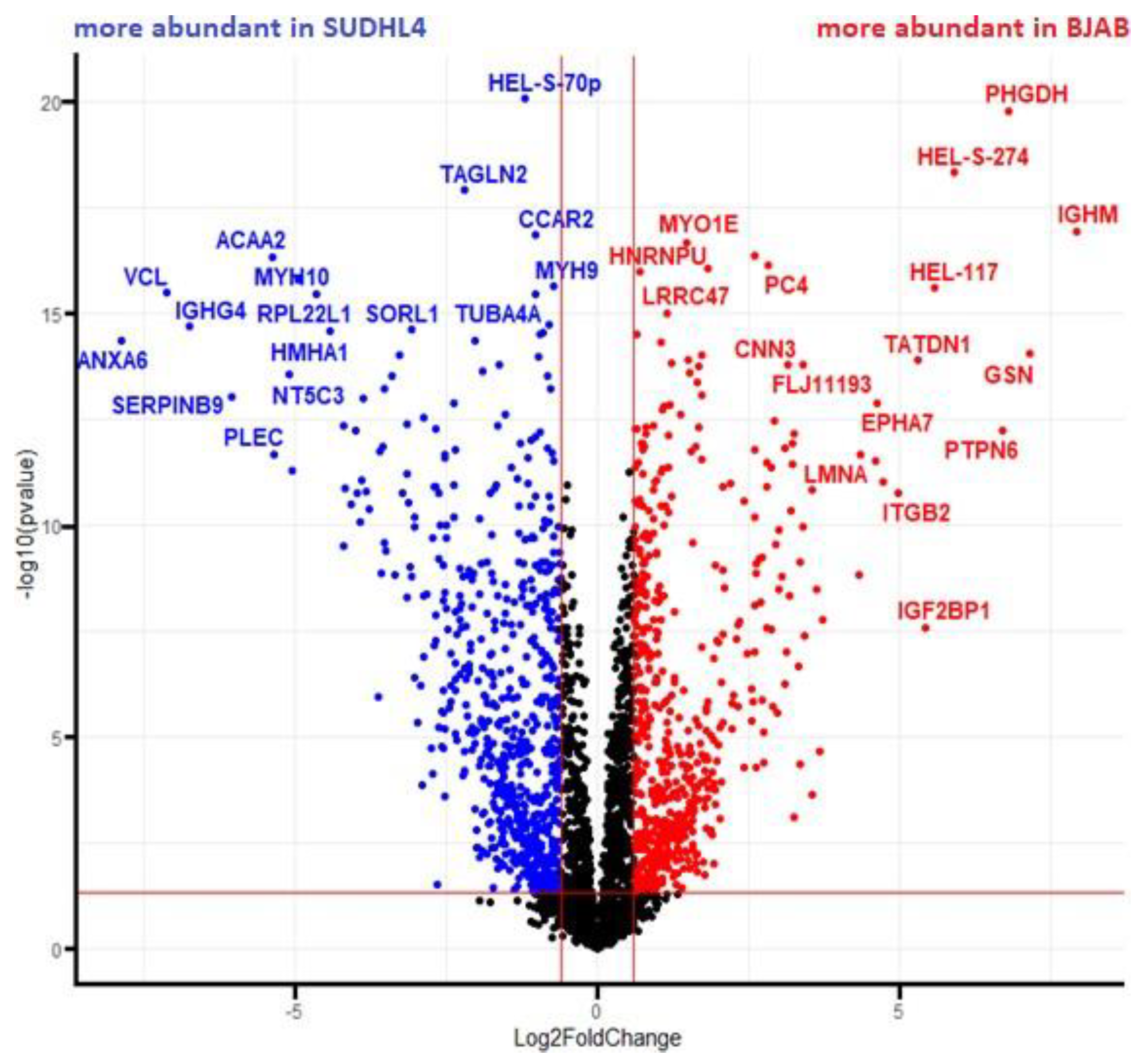 Cancers 14 05031 g004 Cancers 14 05031 g004