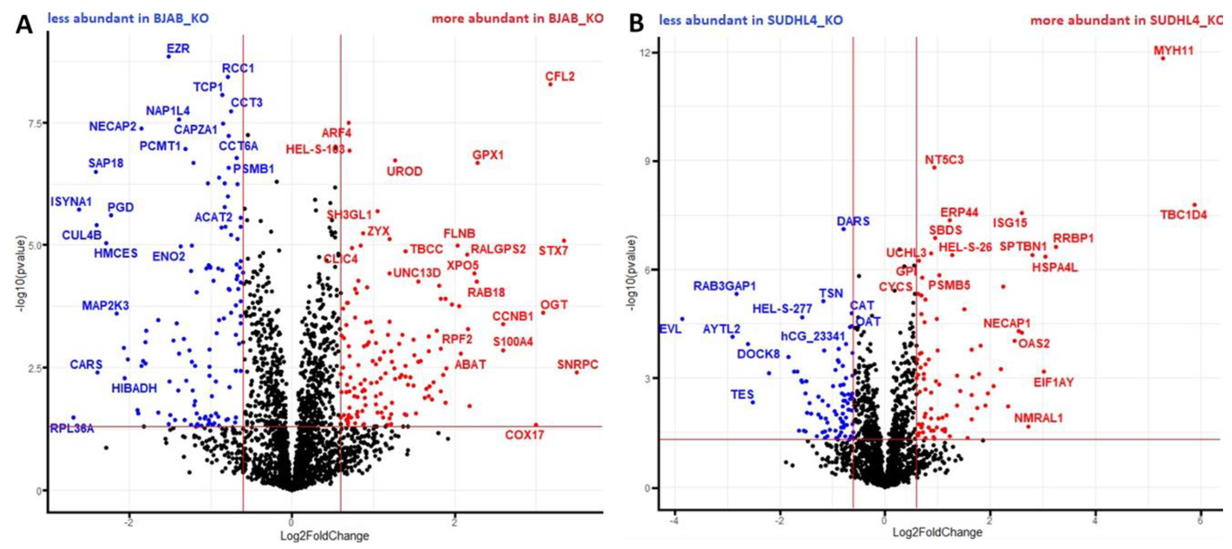 Cancers 14 05031 g005 Cancers 14 05031 g005
