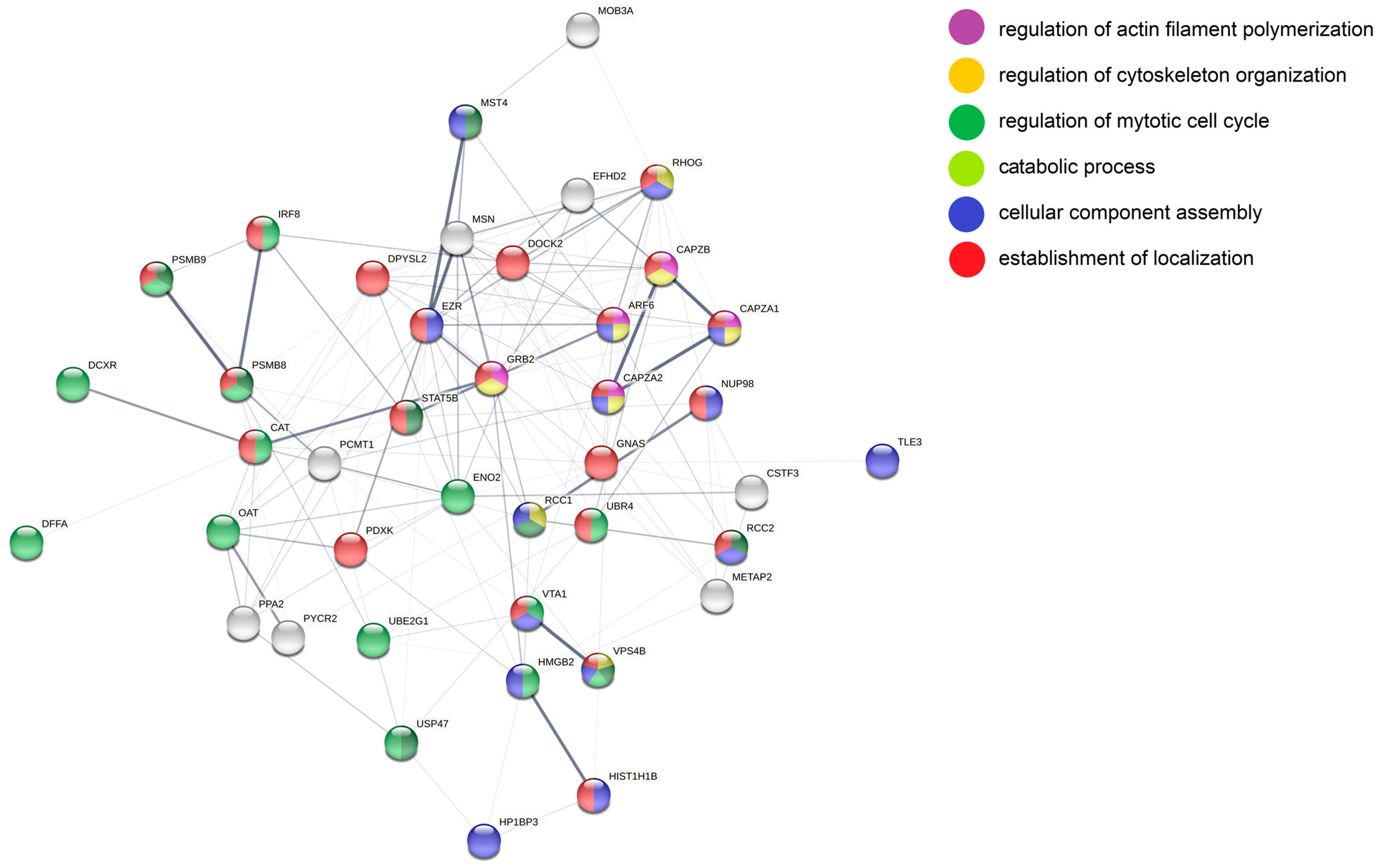 Cancers 14 05031 g009 Cancers 14 05031 g009