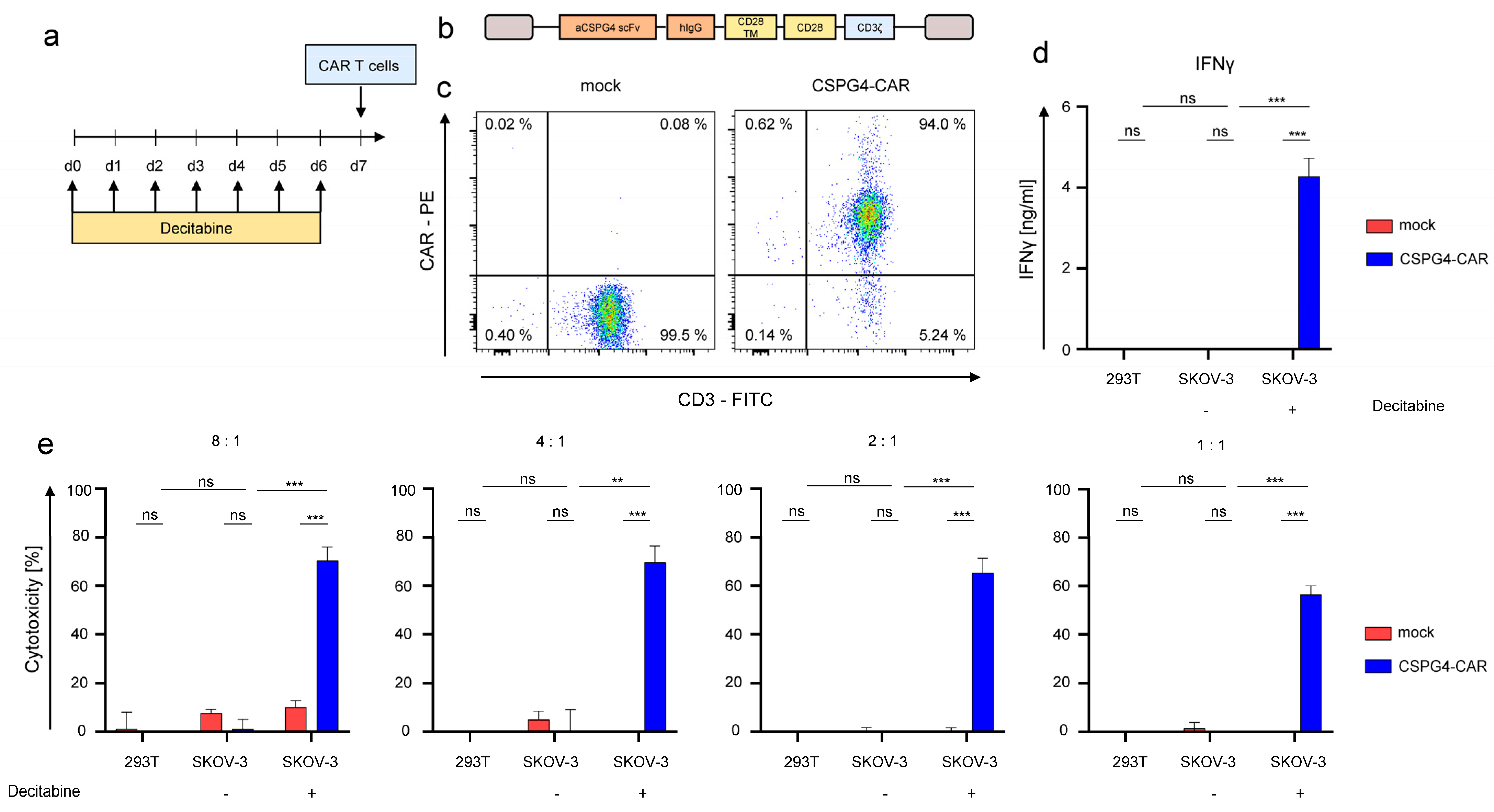 Cancers 14 05033 g004