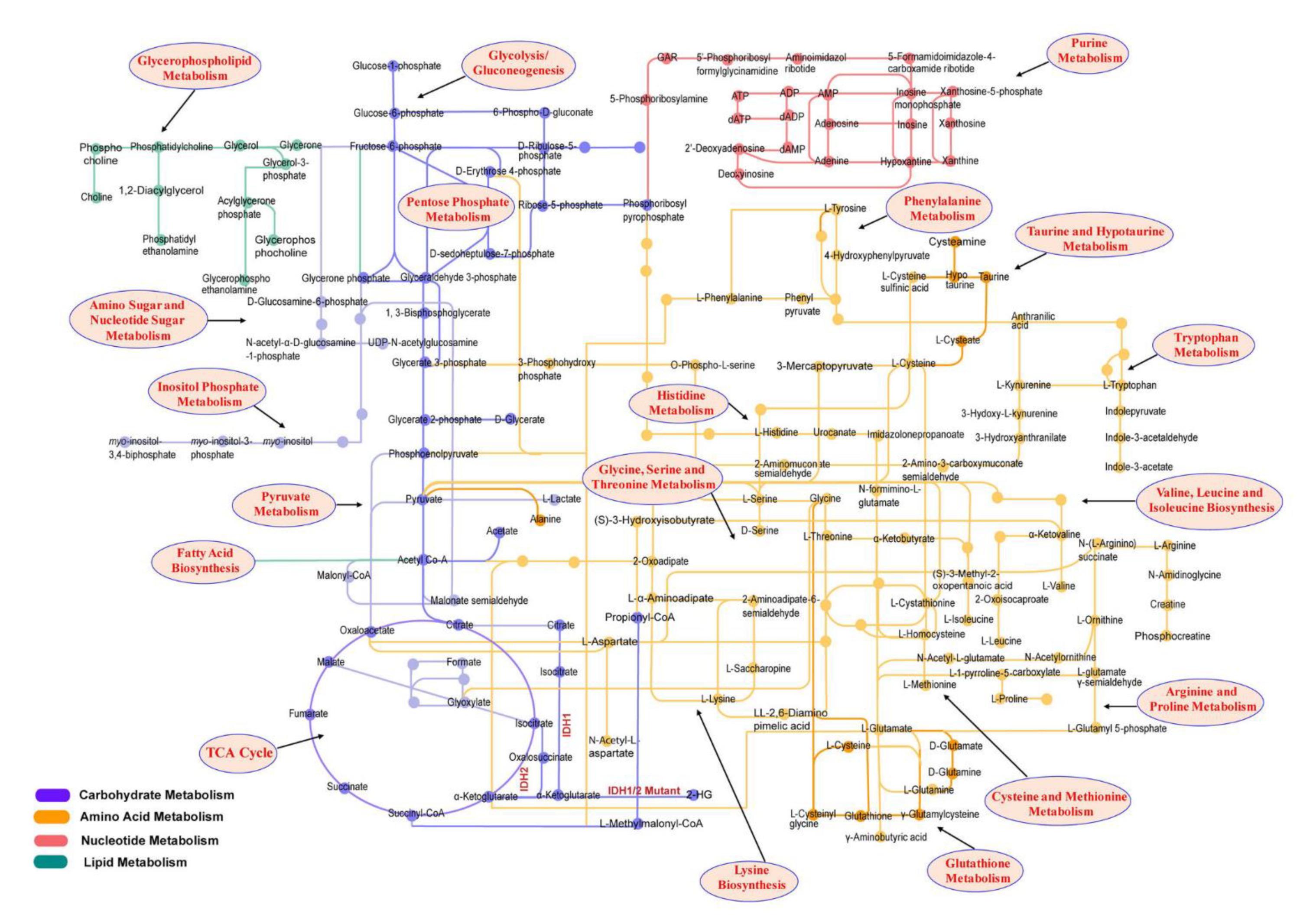 Cancers 14 05041 g001 Cancers 14 05041 g001