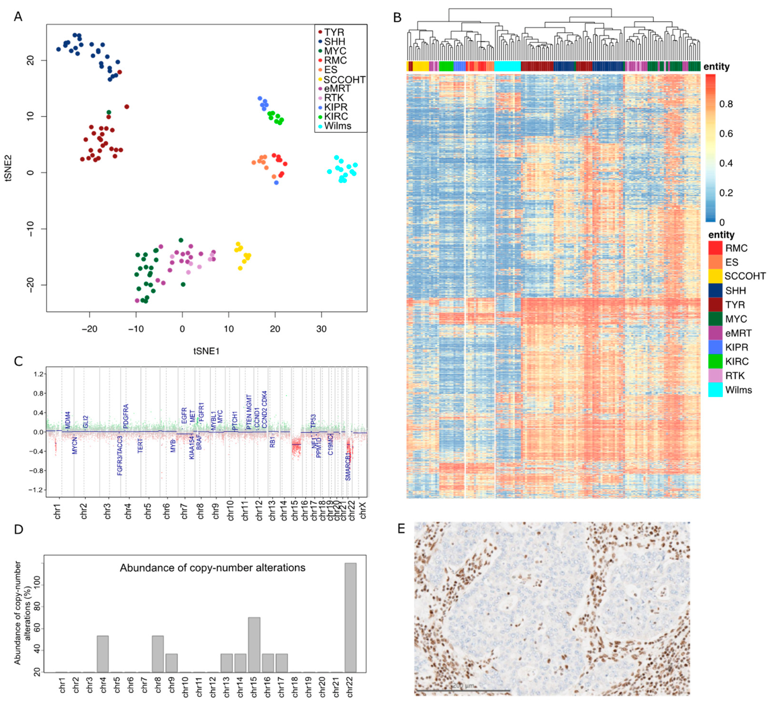 Cancers 14 05044 g001 Cancers 14 05044 g001