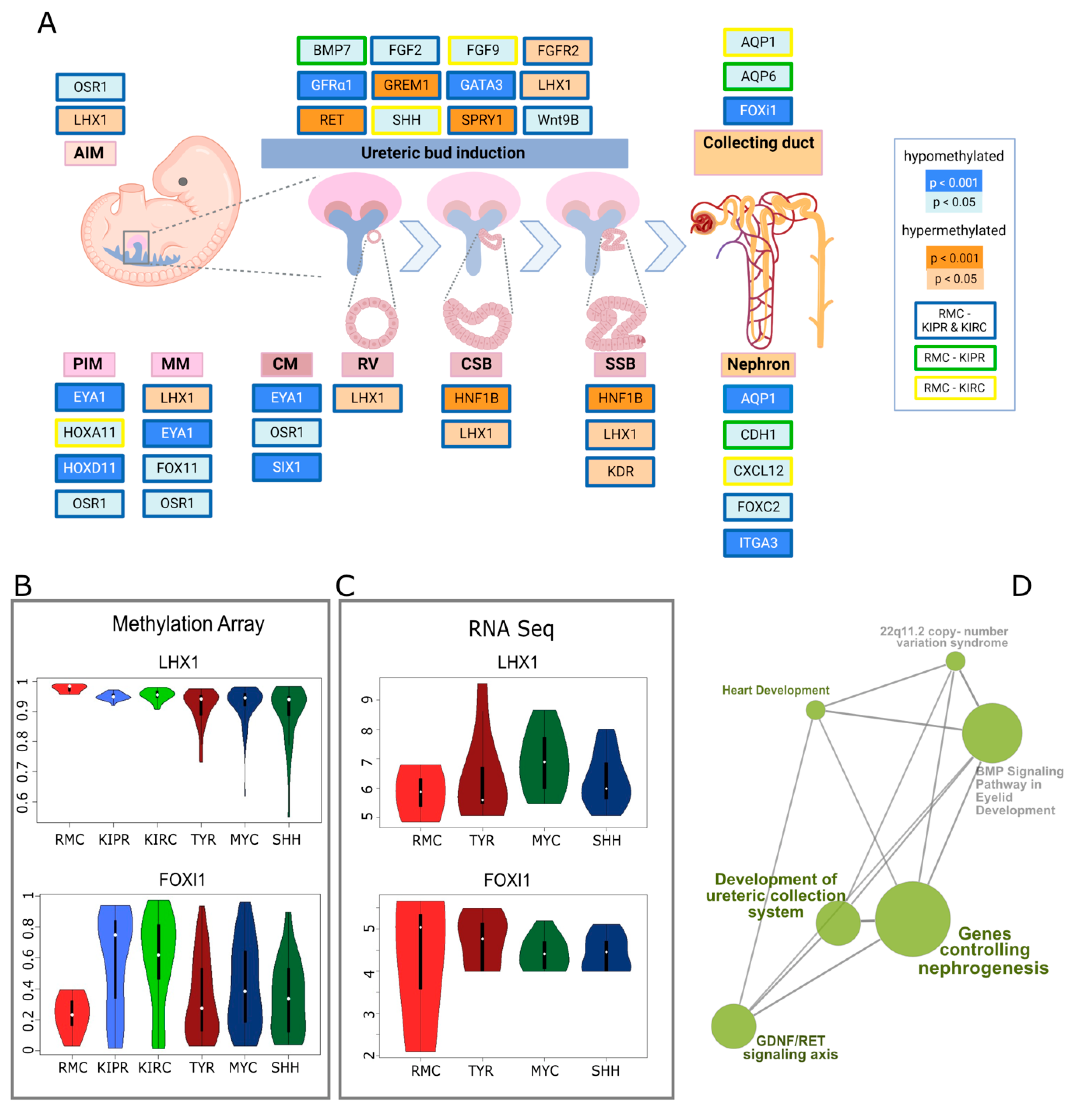 Cancers 14 05044 g002 Cancers 14 05044 g002