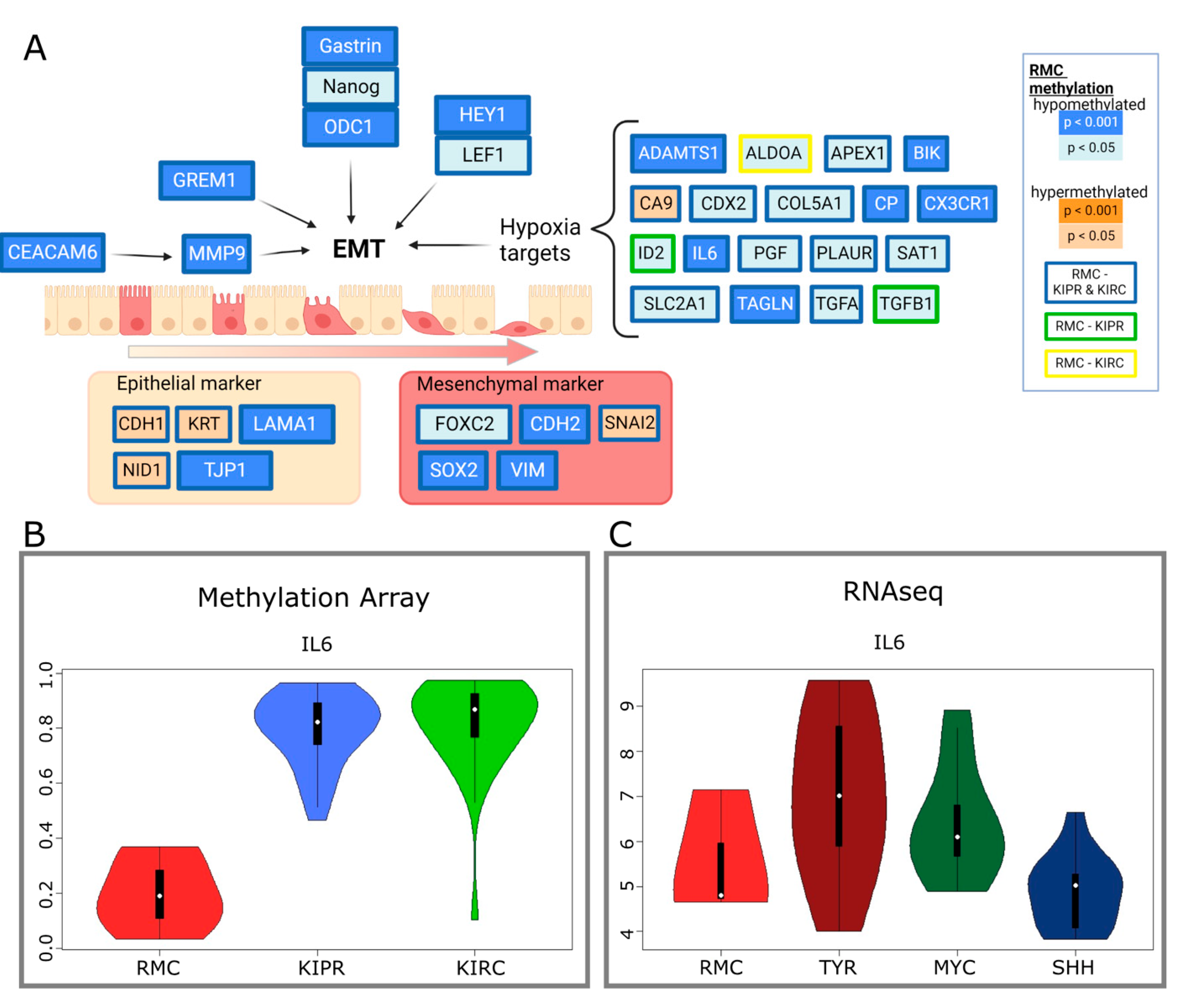 Cancers 14 05044 g003 Cancers 14 05044 g003