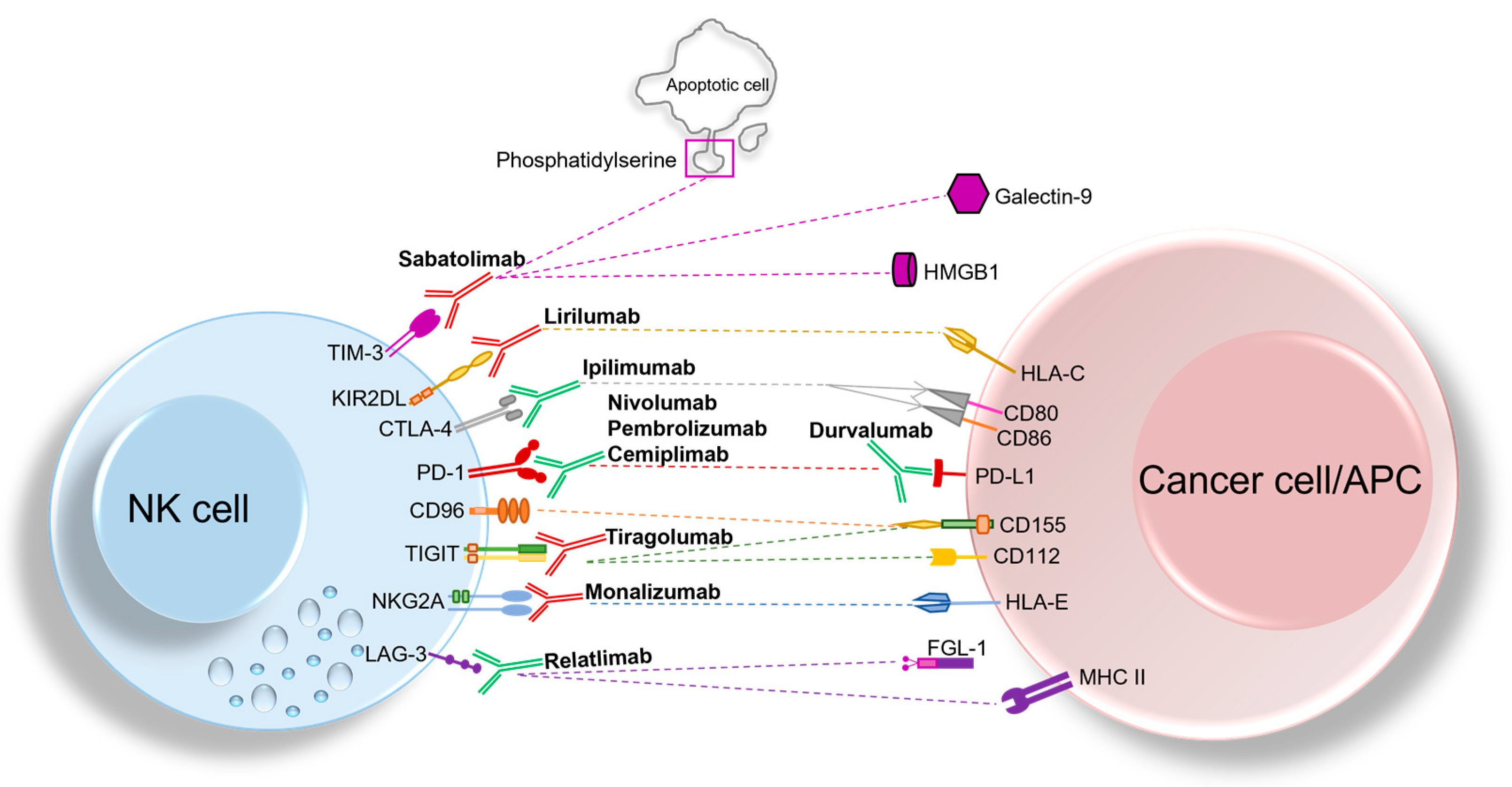 Cancers 14 05046 g001