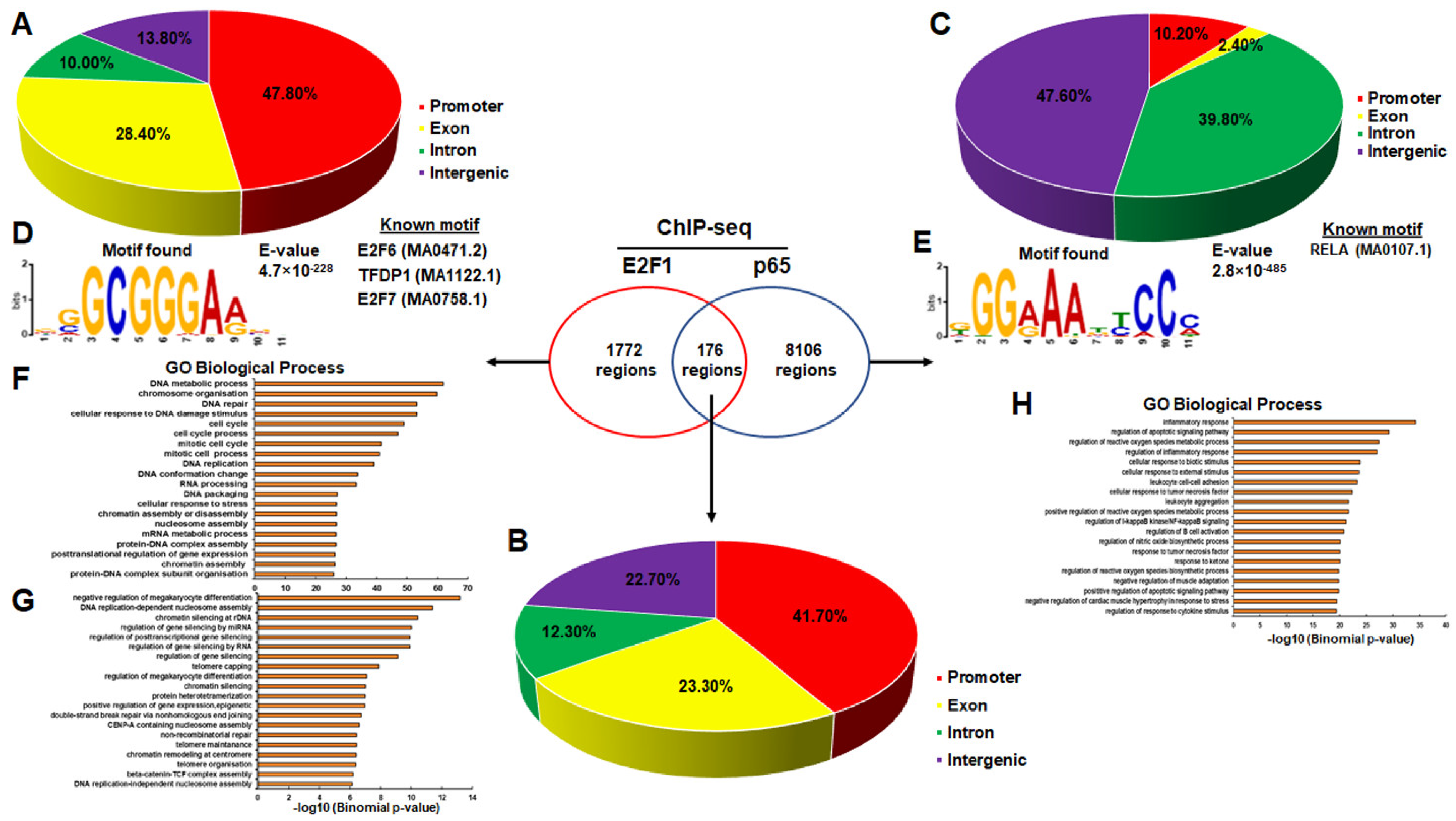 Cancers 14 05047 g002