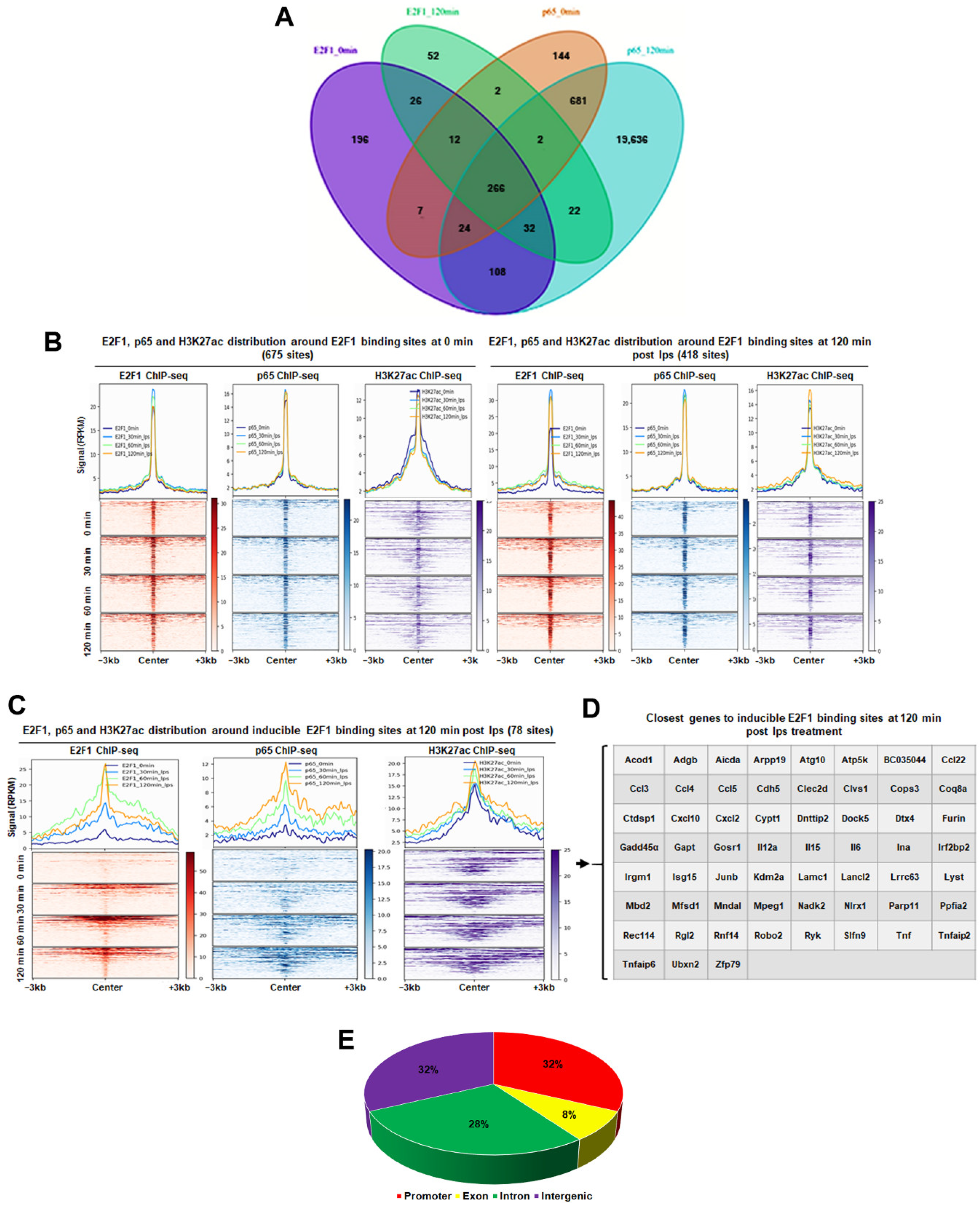 Cancers 14 05047 g006