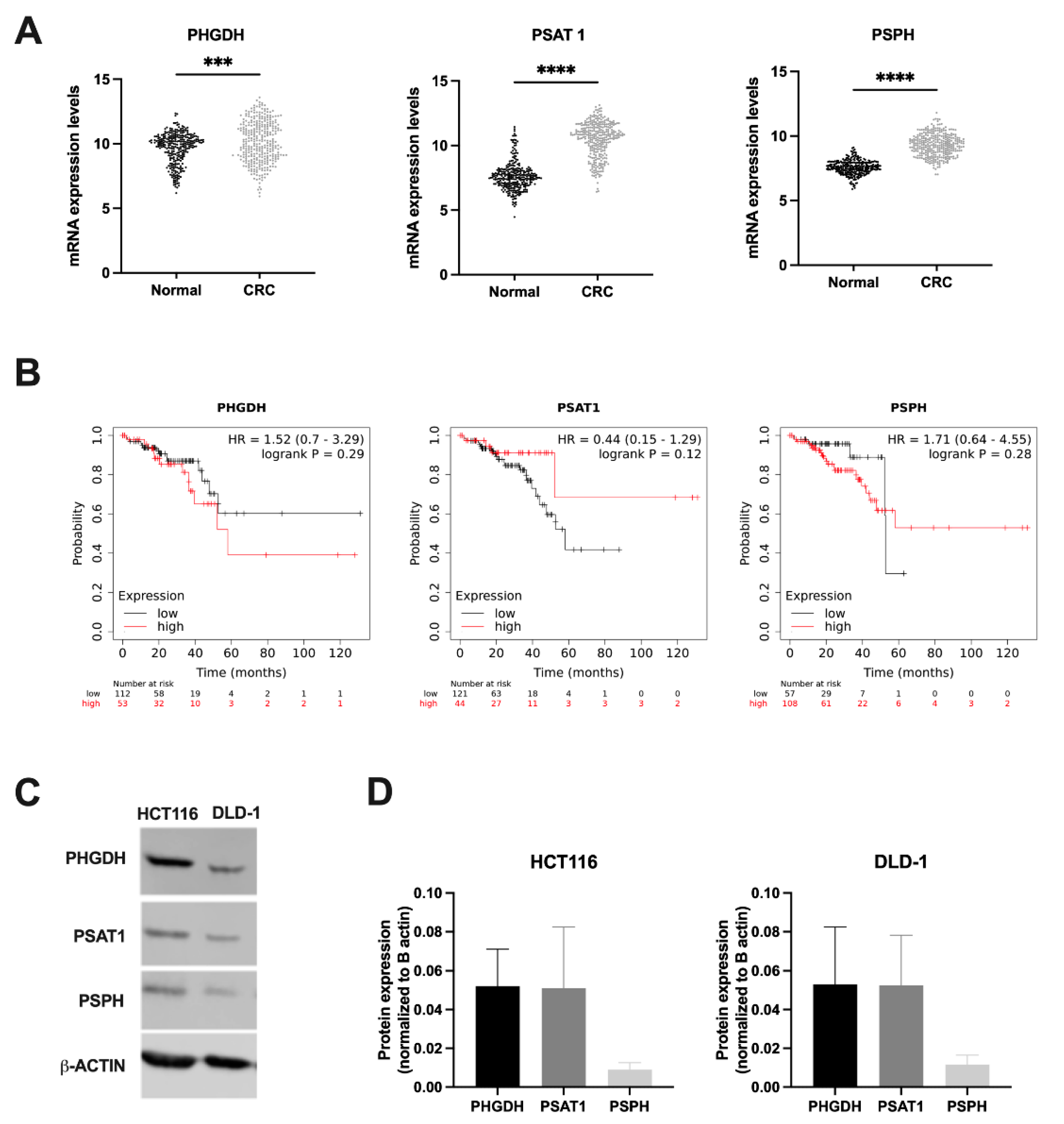 Cancers 14 05060 g001 Cancers 14 05060 g001