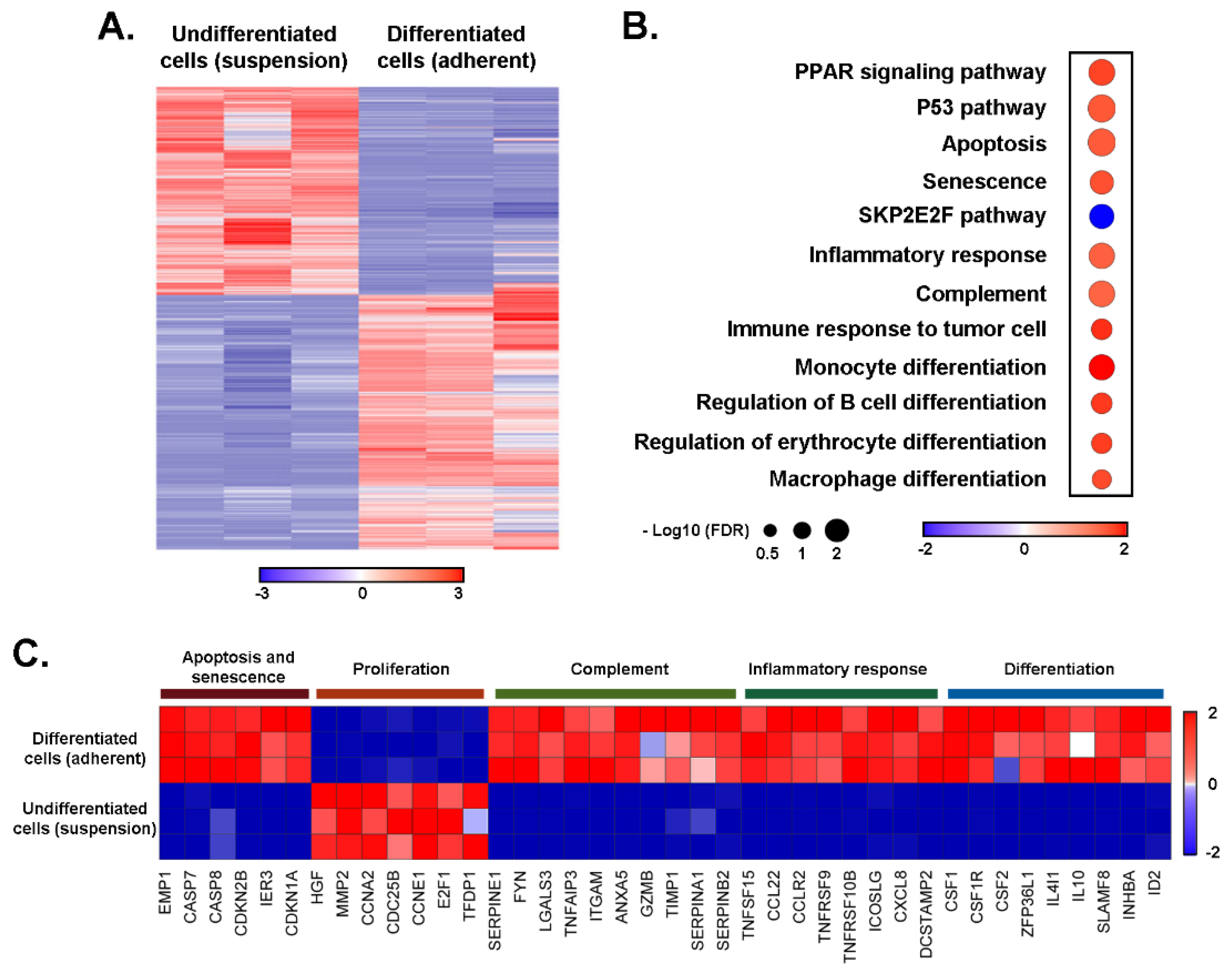 Cancers 14 05065 g001 Cancers 14 05065 g001