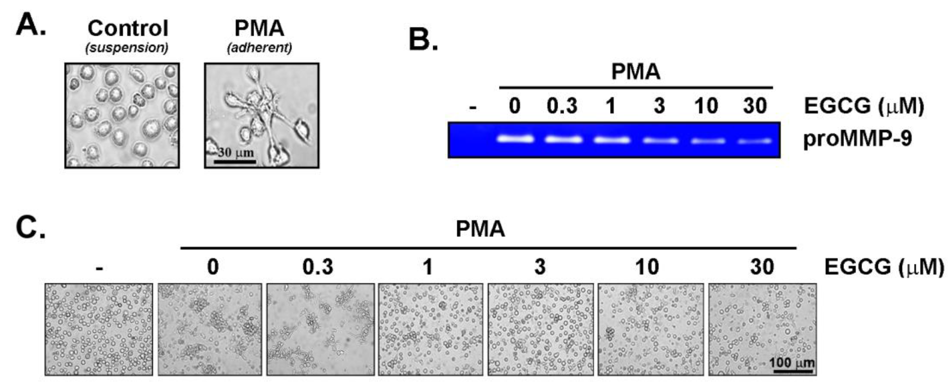 Cancers 14 05065 g002 Cancers 14 05065 g002