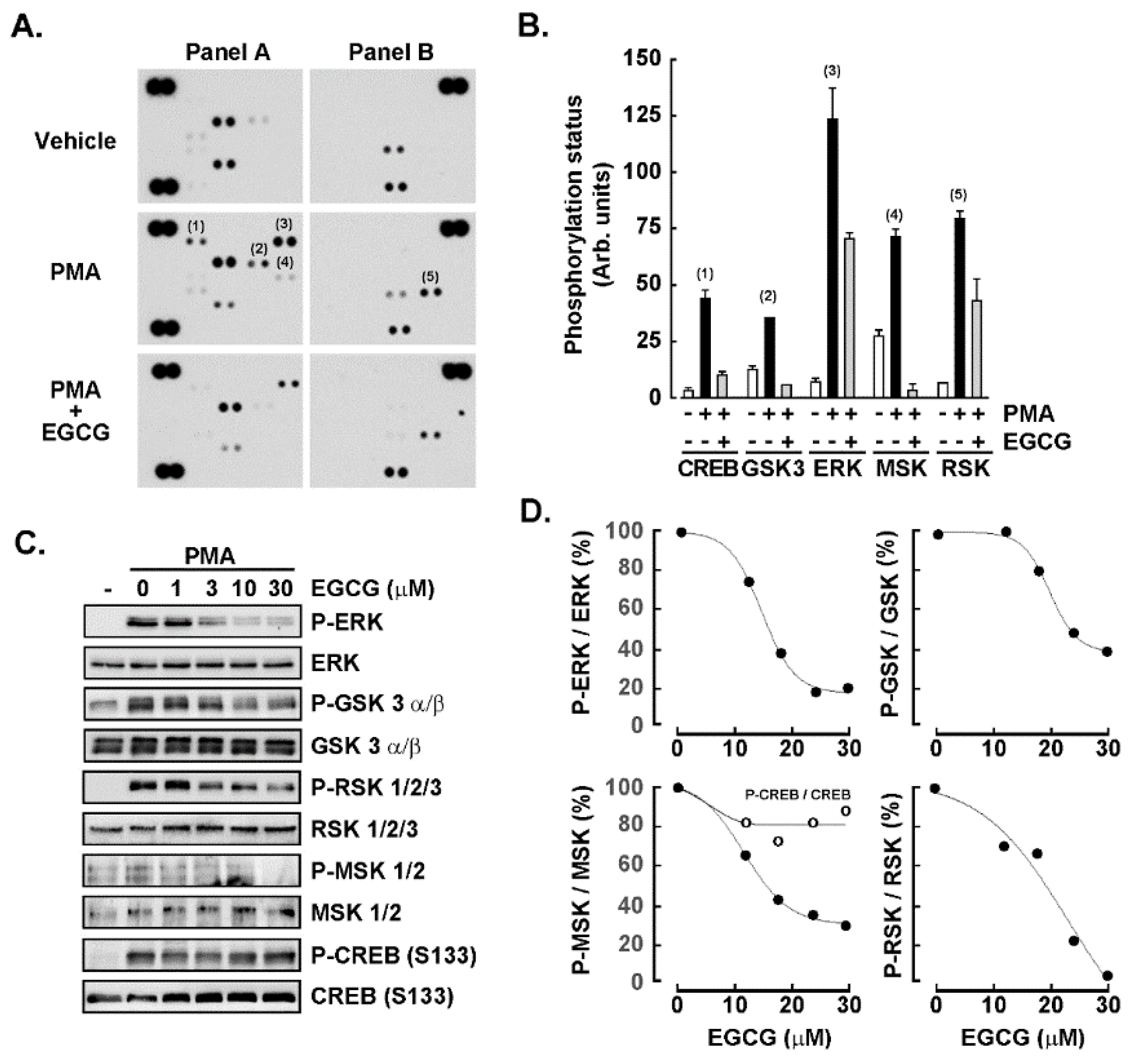 Cancers 14 05065 g003 Cancers 14 05065 g003