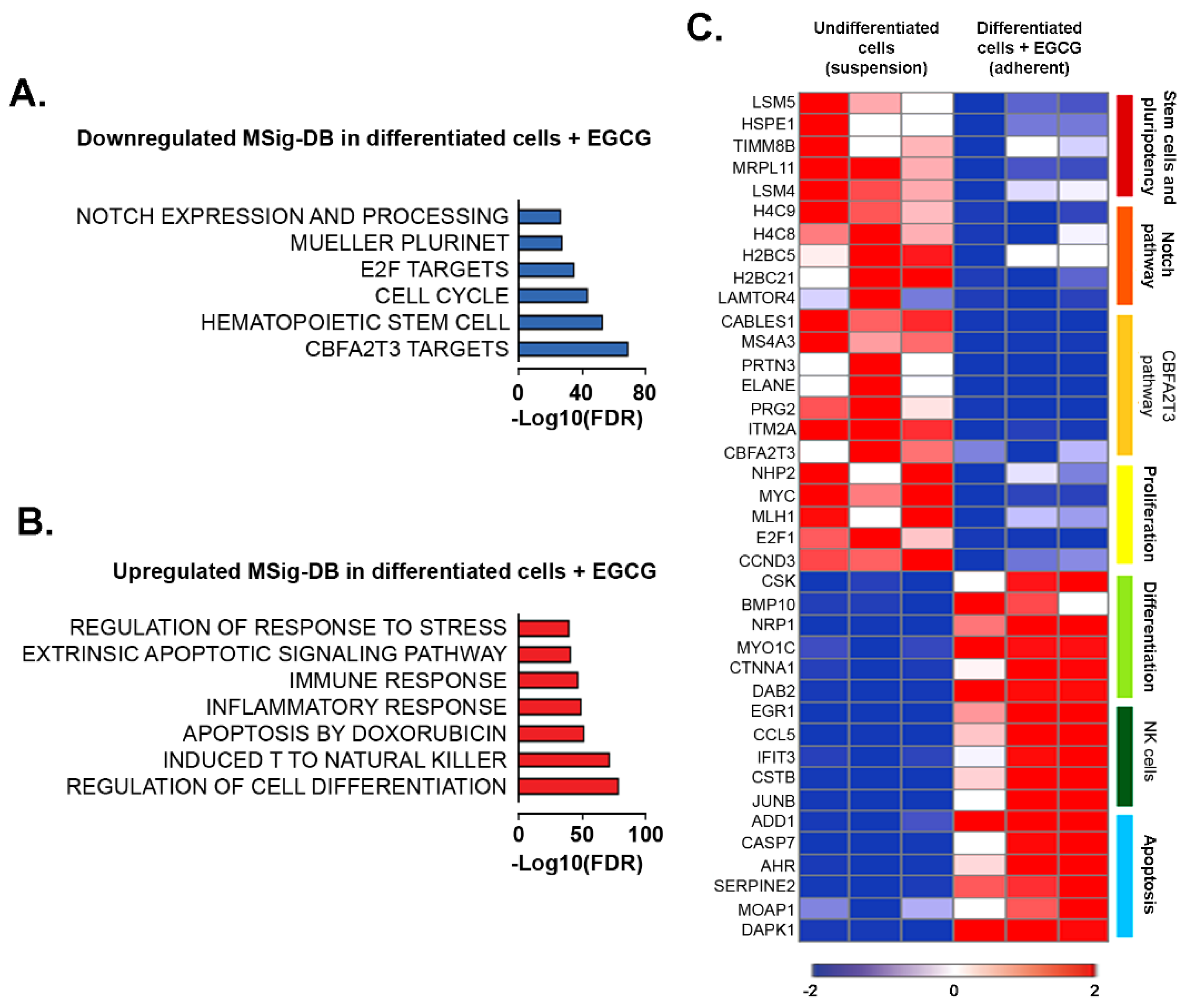 Cancers 14 05065 g004 Cancers 14 05065 g004