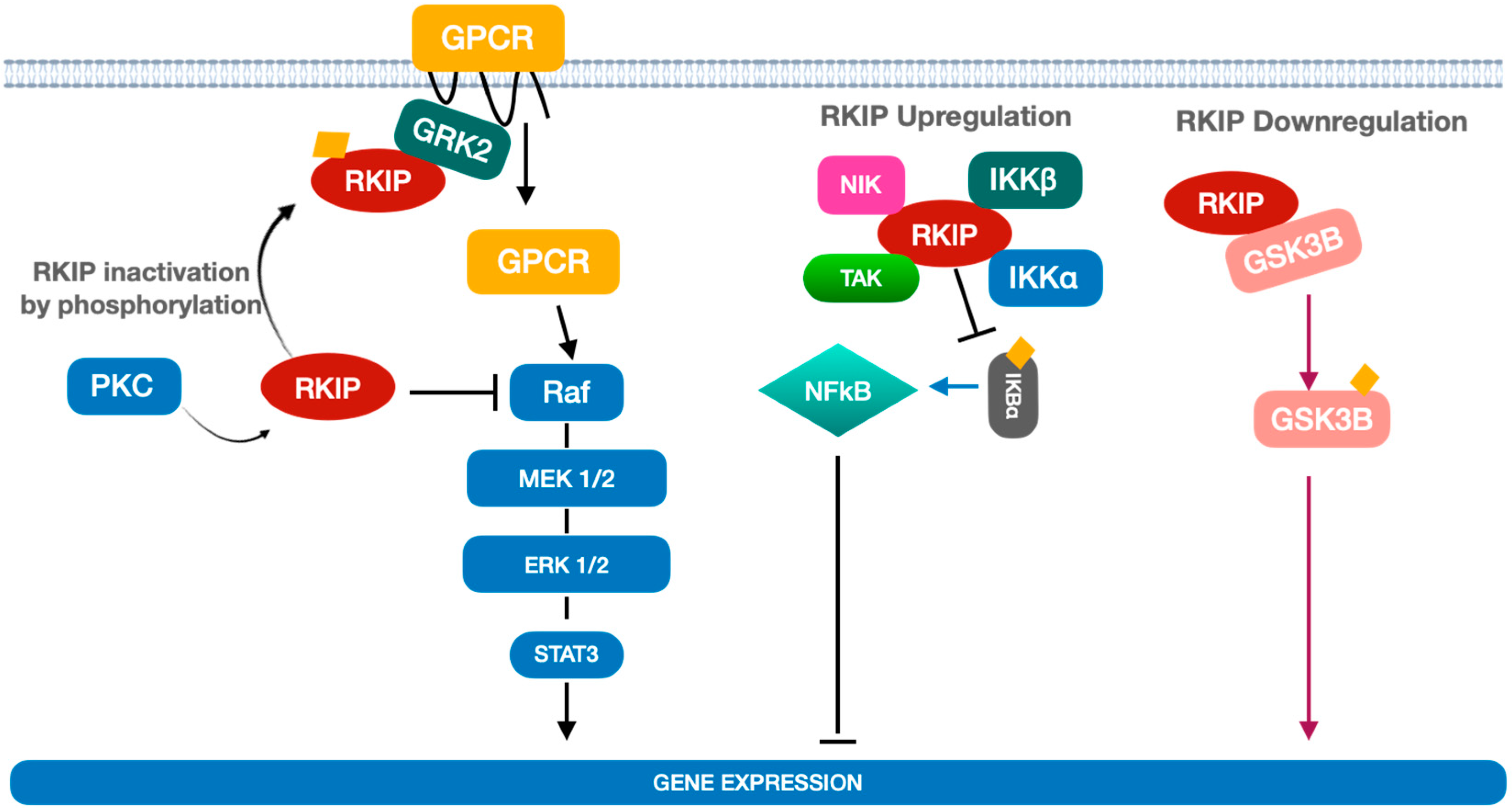 Cancers 14 05070 g001