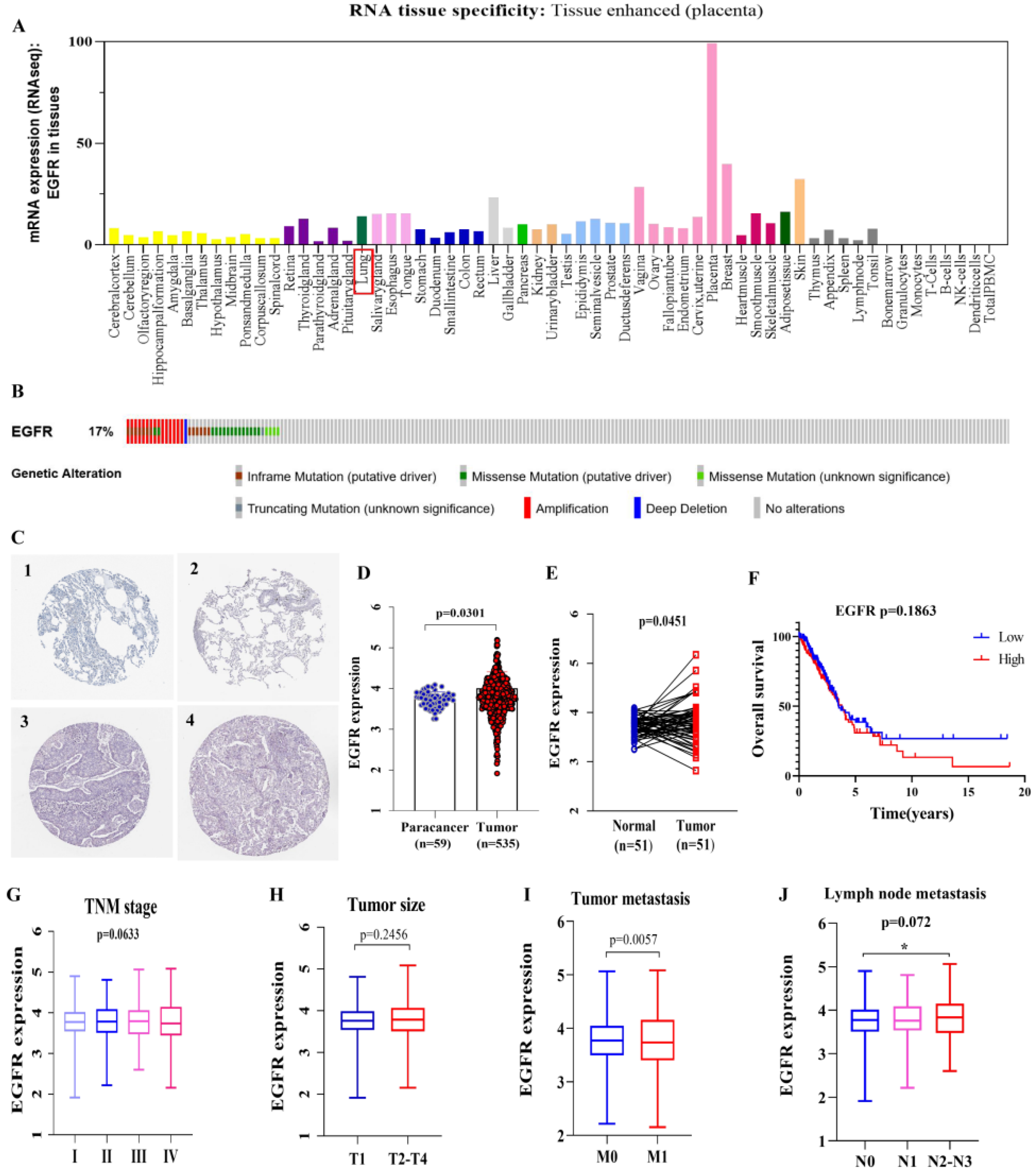 Cmp14 Egfr Results - ozynp3o
