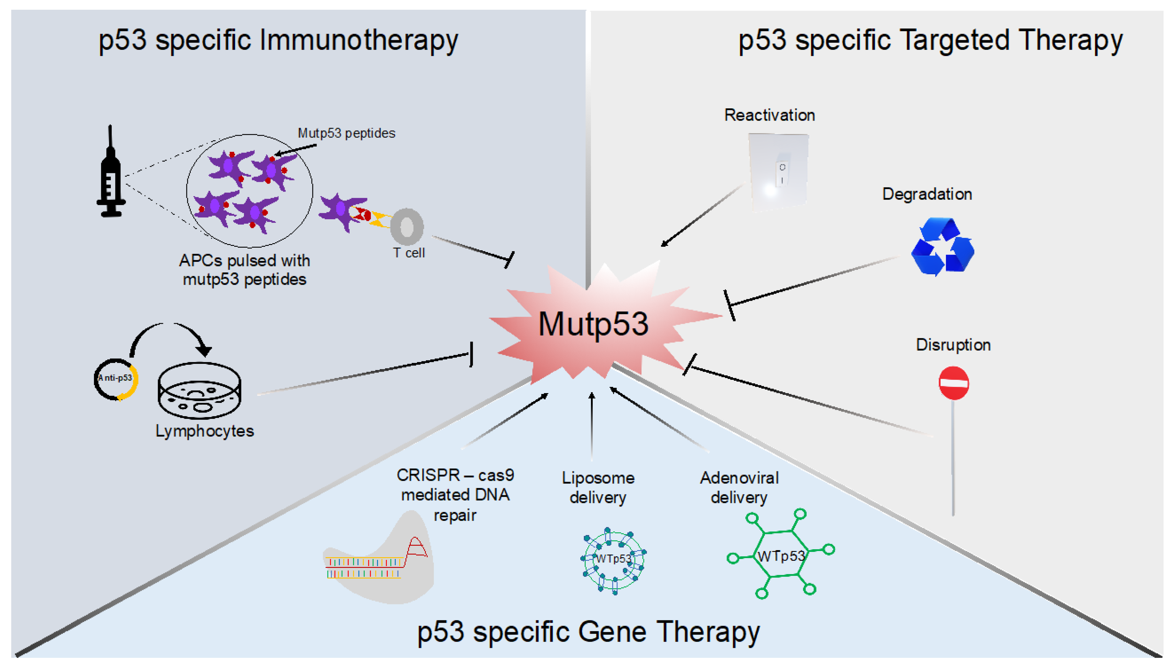Cancers 14 05091 g004 Cancers 14 05091 g004