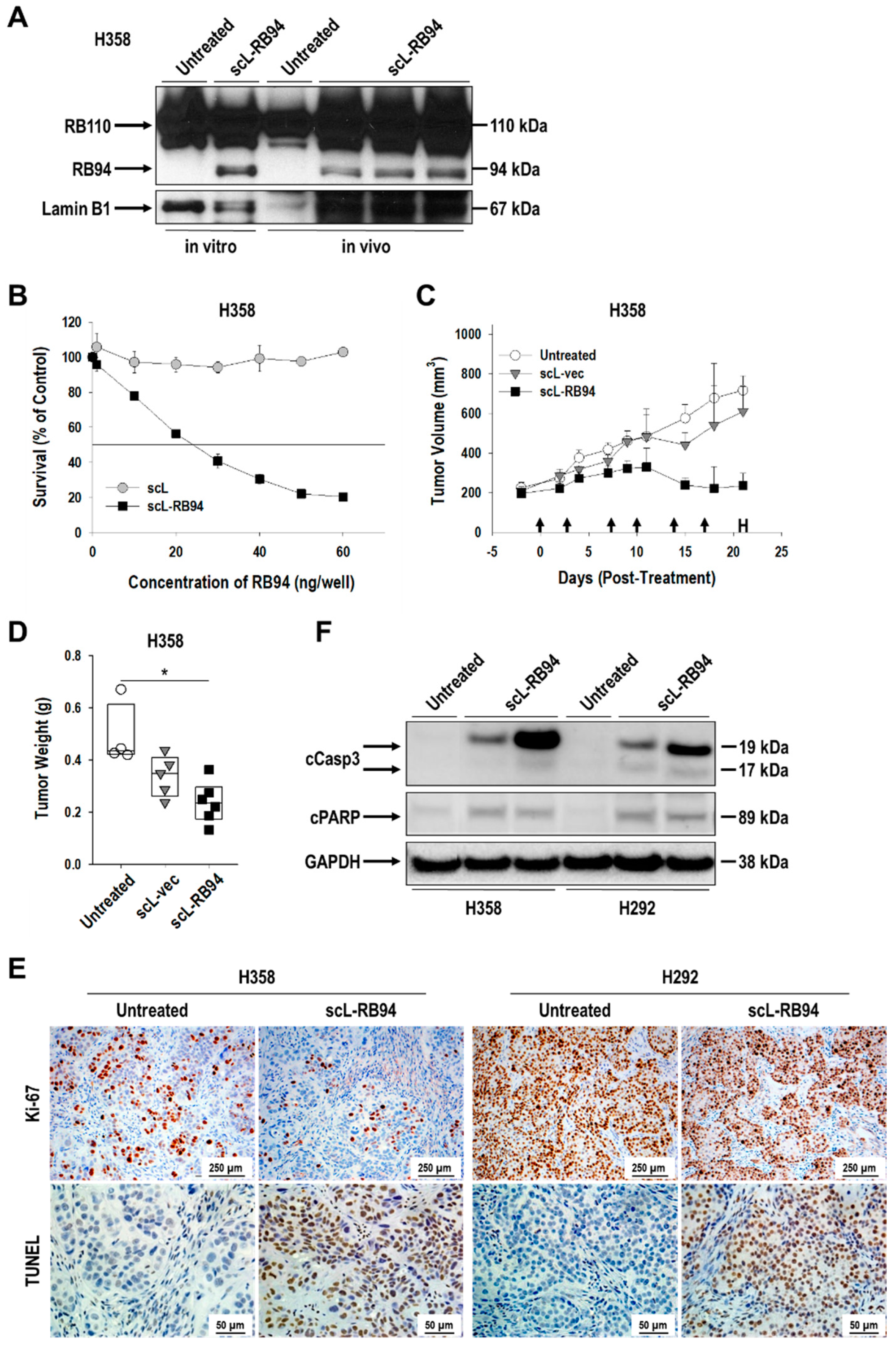 Cancers 14 05092 g001 Cancers 14 05092 g001