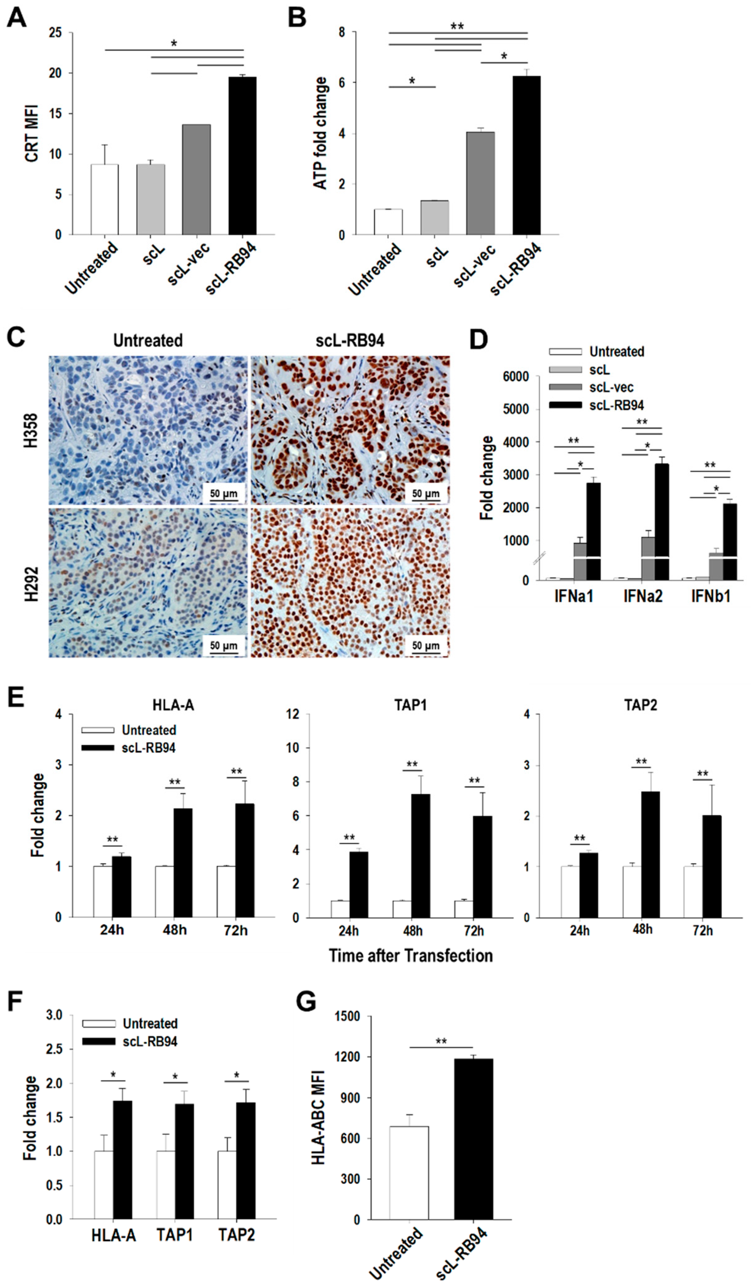 Cancers 14 05092 g002 Cancers 14 05092 g002