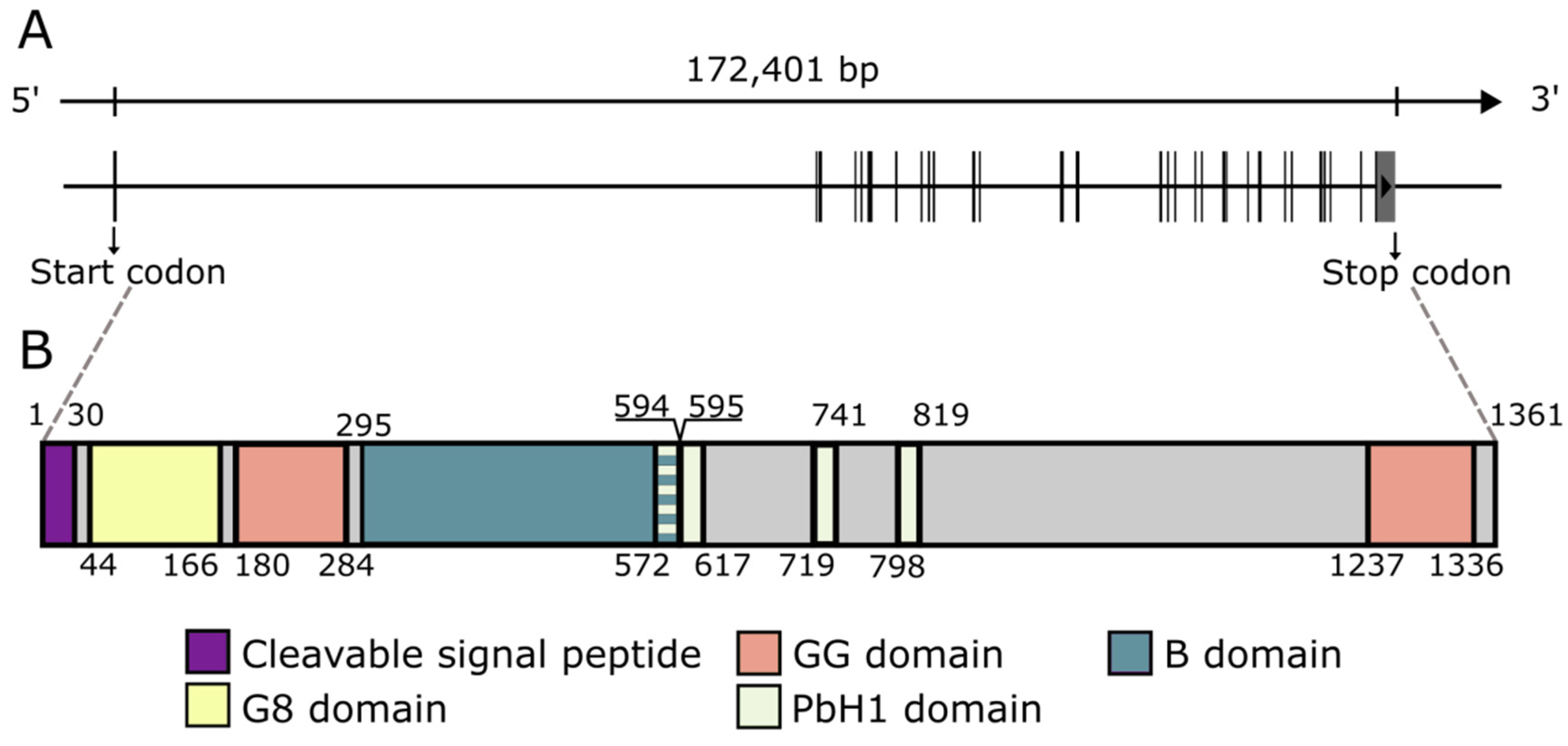 Cancers 14 05093 g001 Cancers 14 05093 g001
