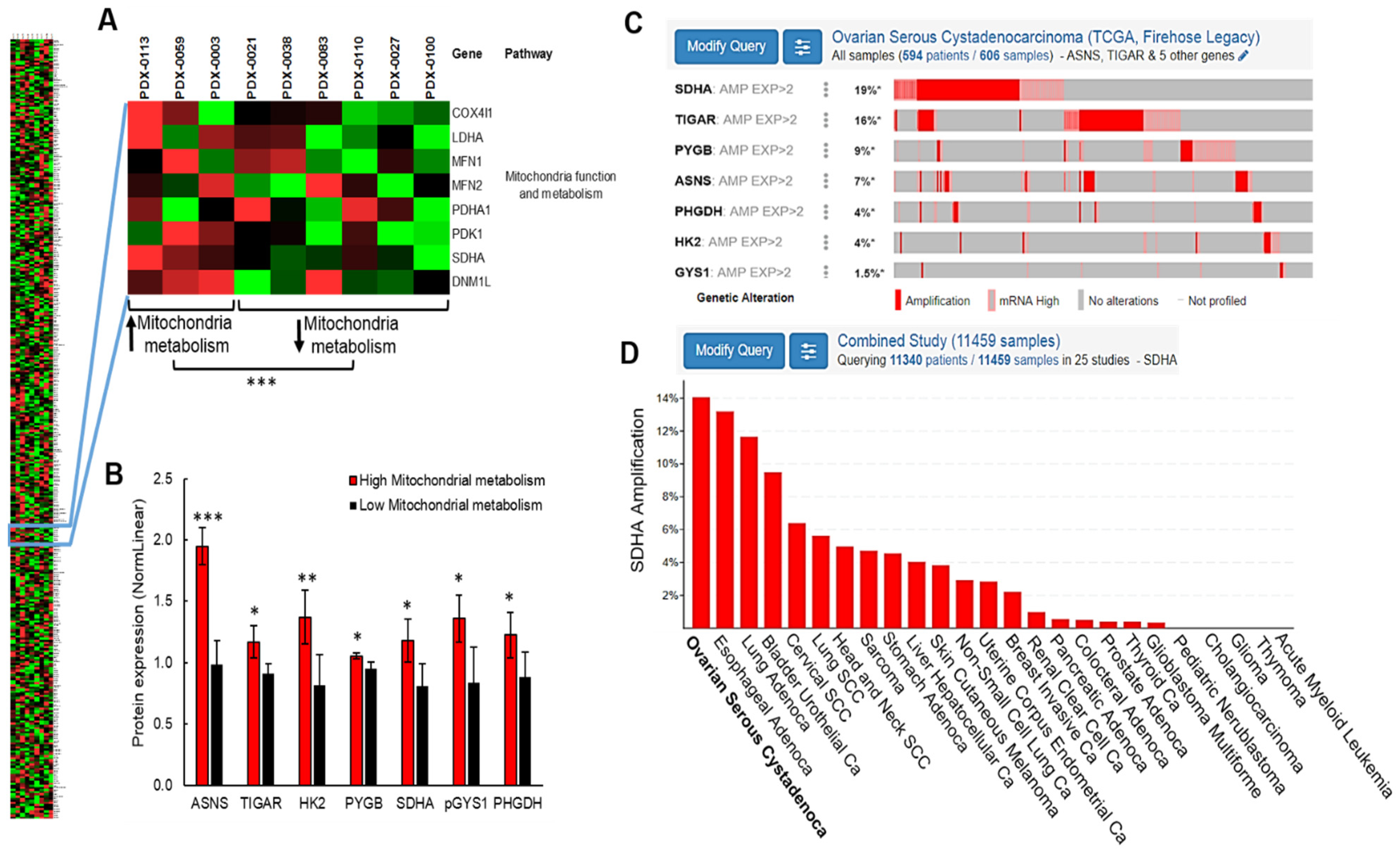 Cancers 14 05097 g001