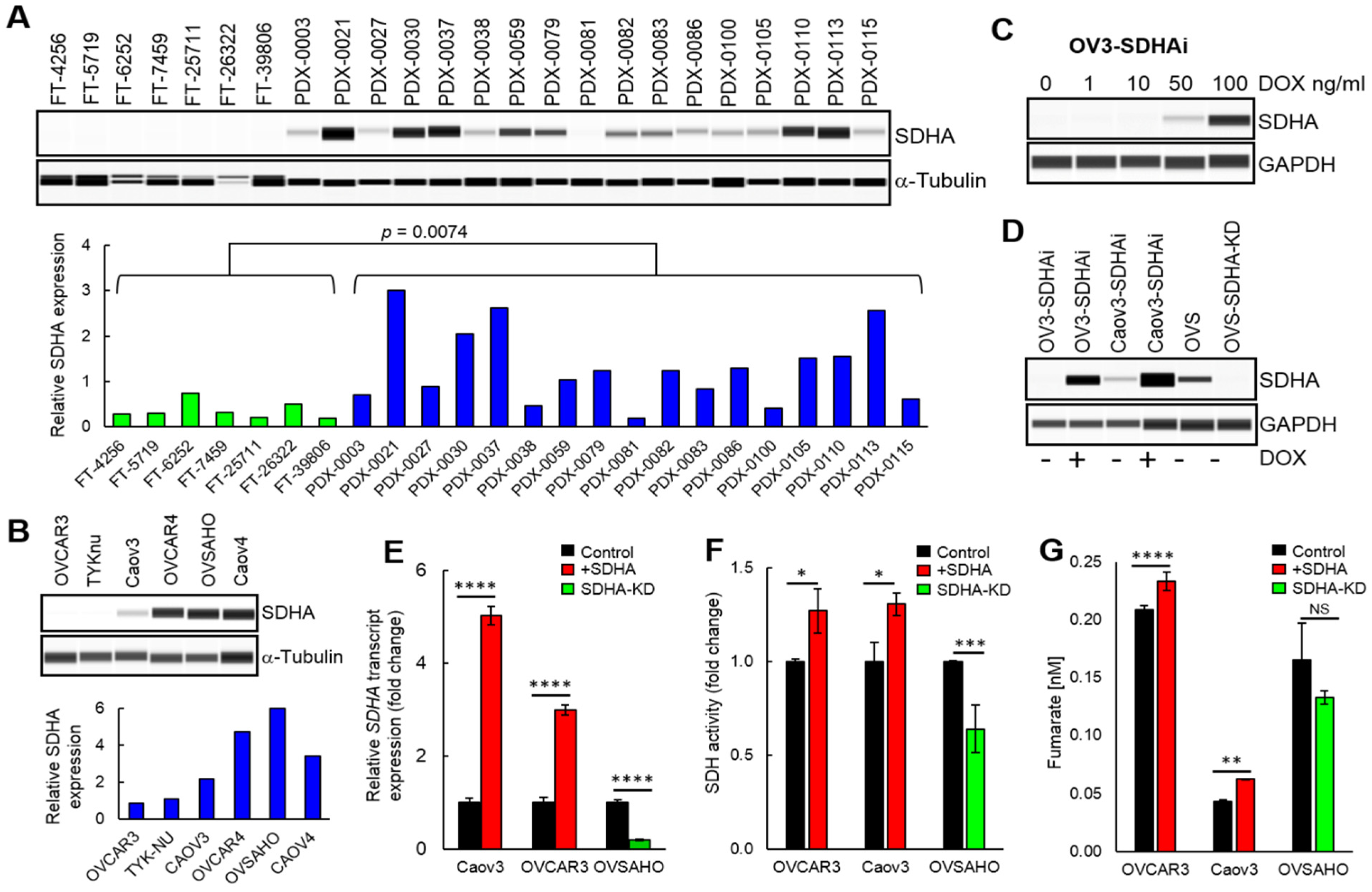 Cancers 14 05097 g002