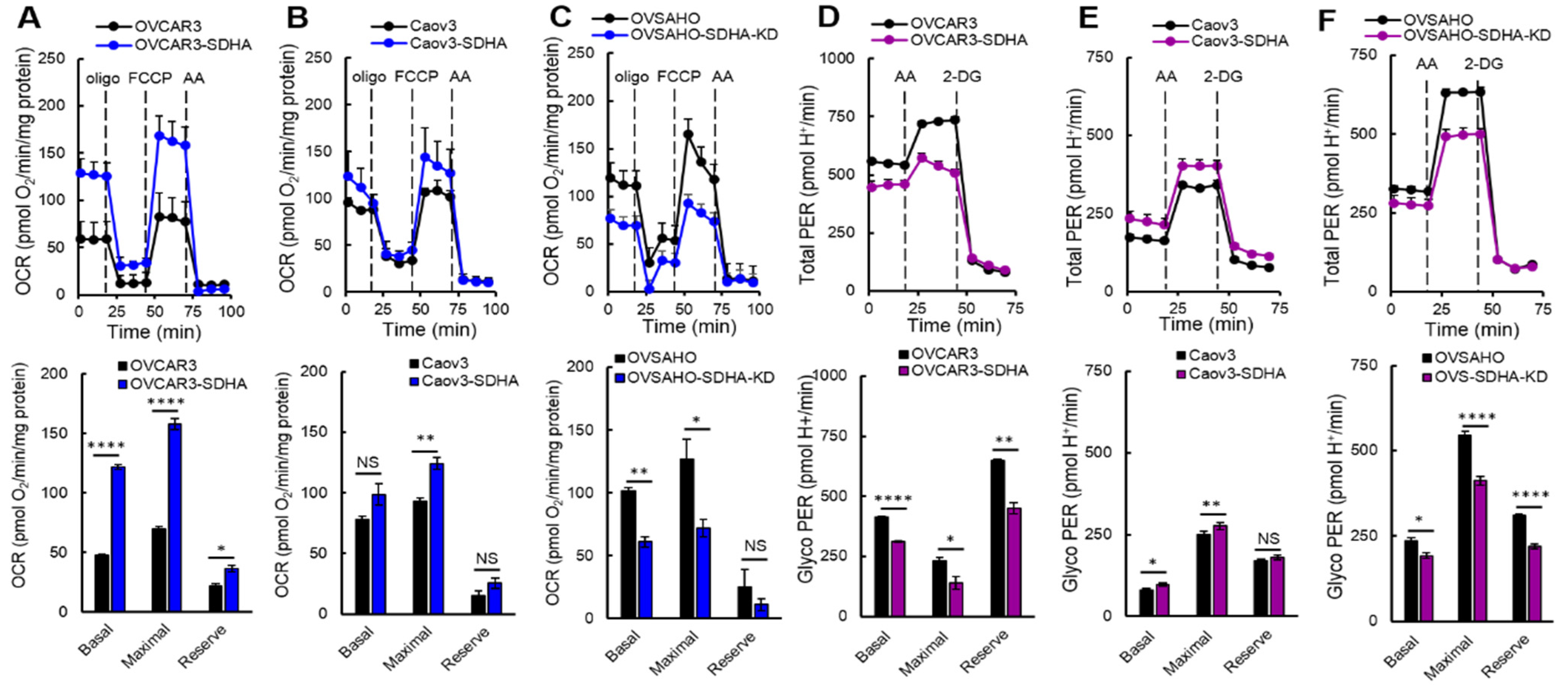 Cancers 14 05097 g005