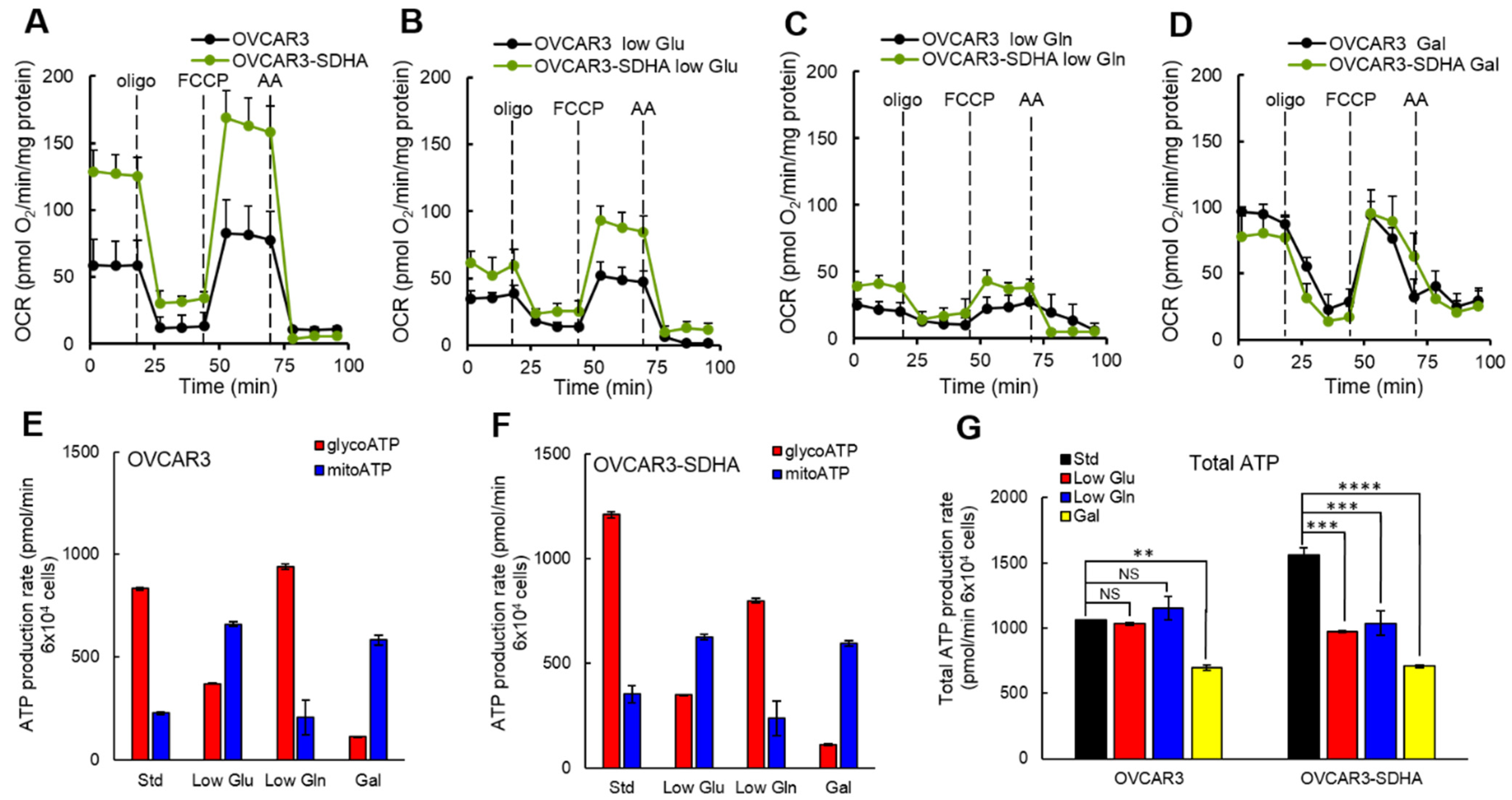 Cancers 14 05097 g007