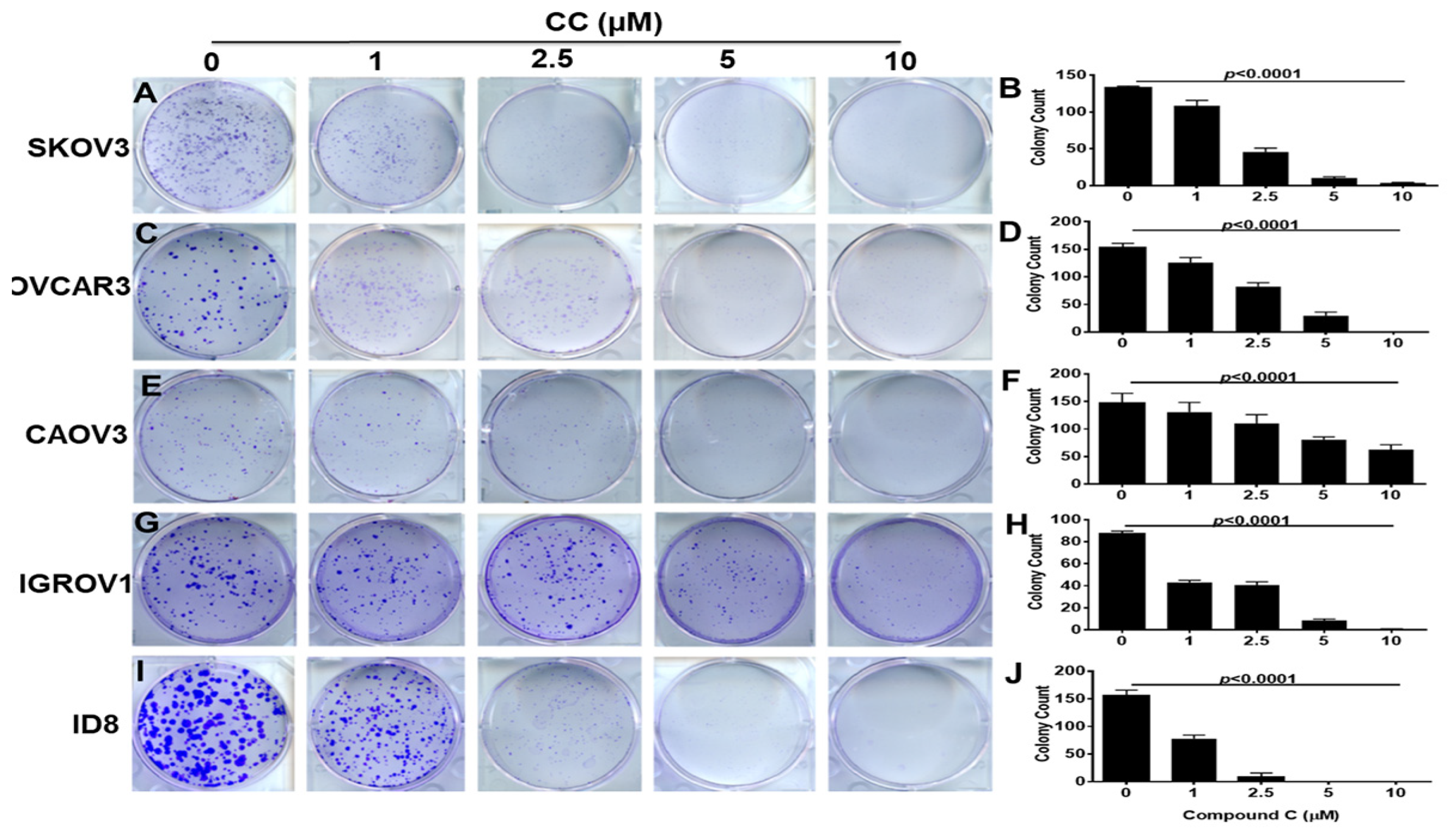 Cancers 14 05099 g002