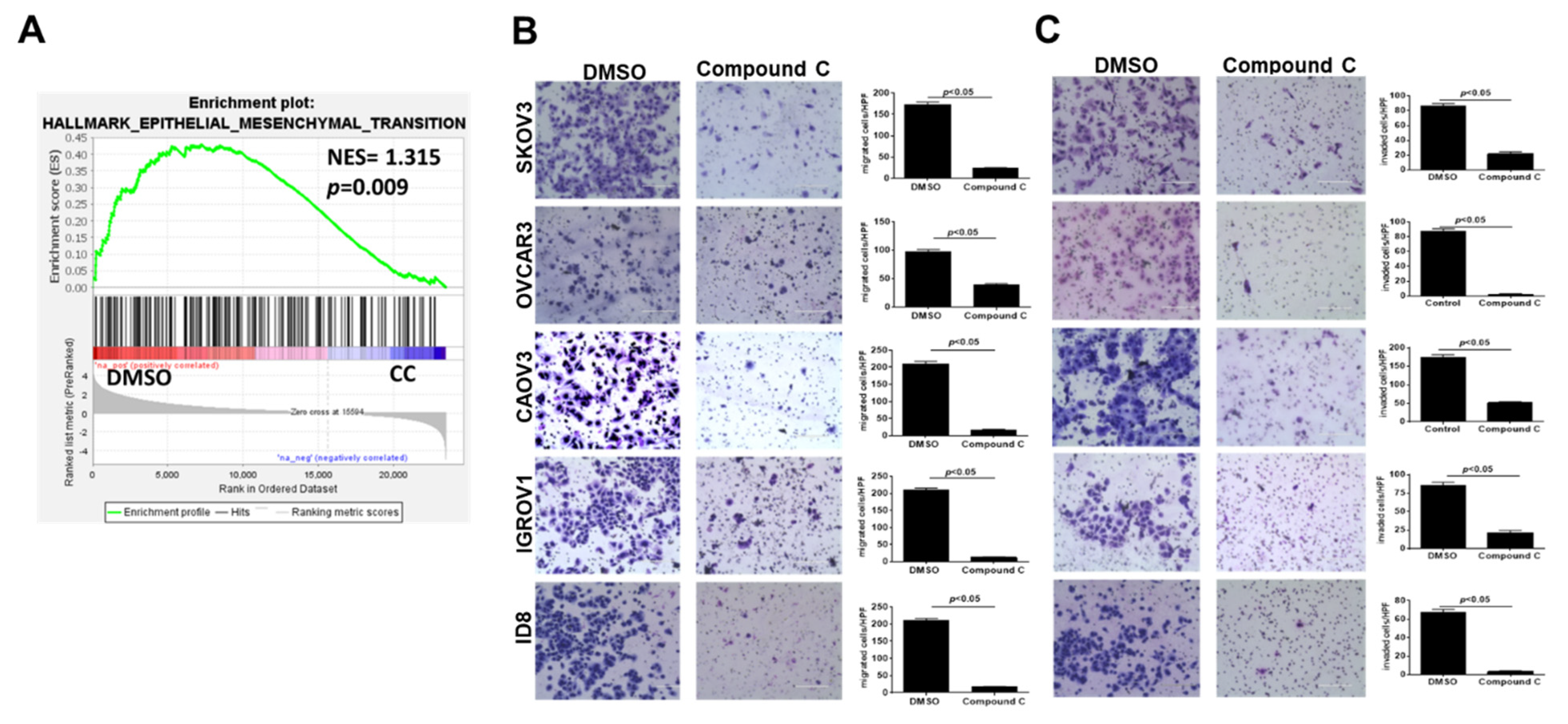 Cancers 14 05099 g003